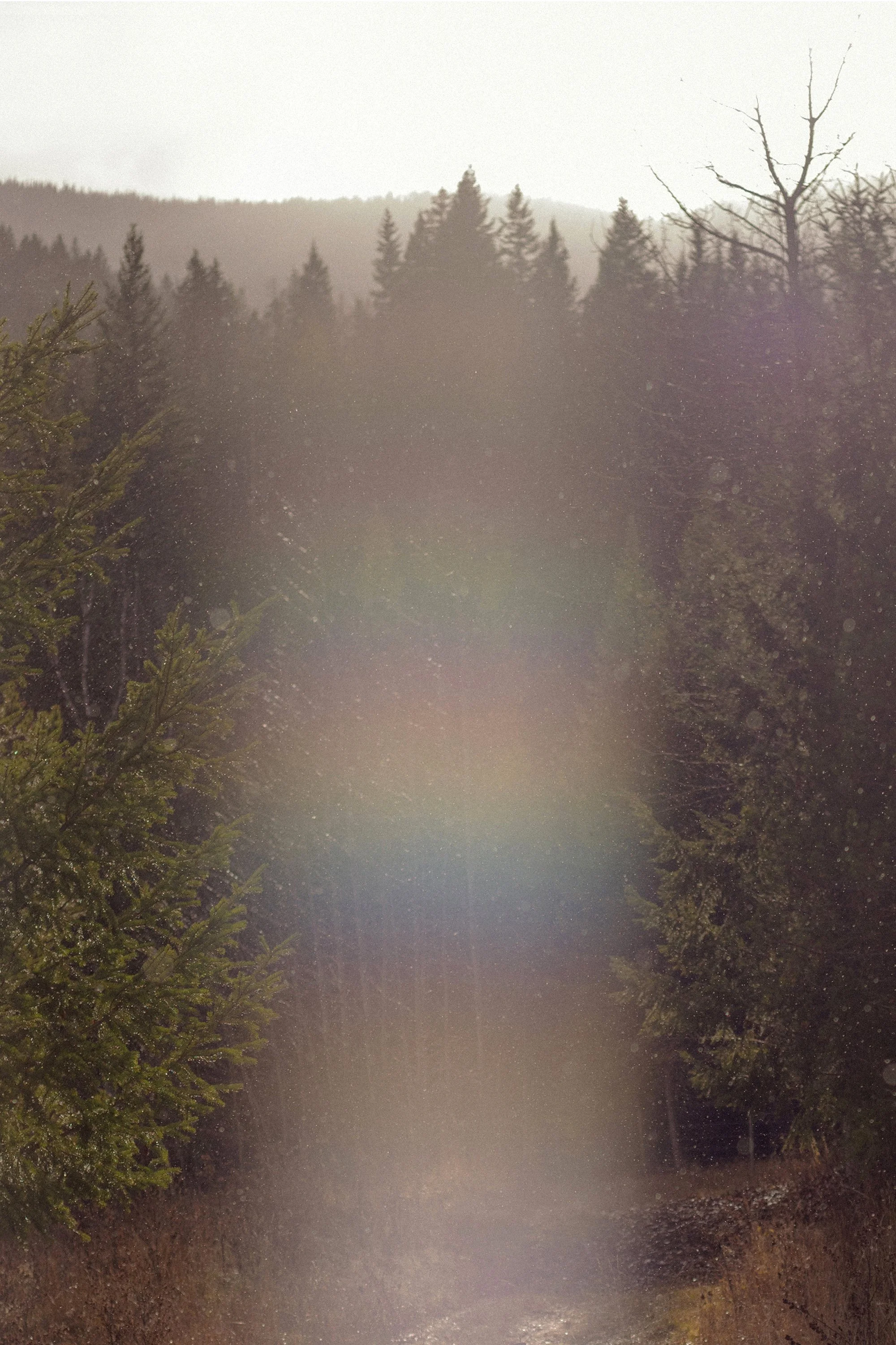 Cabin, Kamloops, 2015
Inkjet C-Print Mounted on Sintra