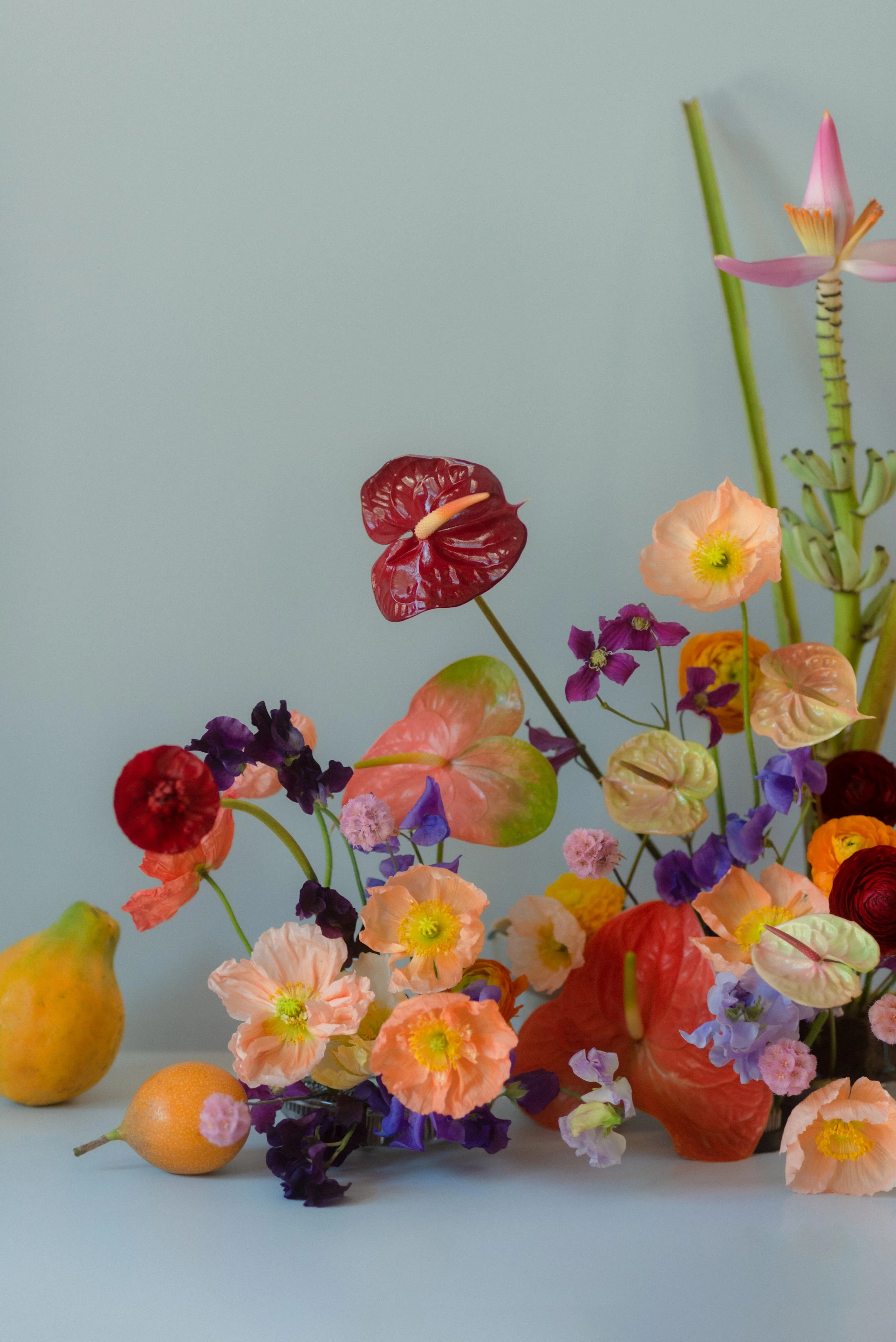 Classic Holiday Studio  Styling by La Bomba, Marta Sanderson