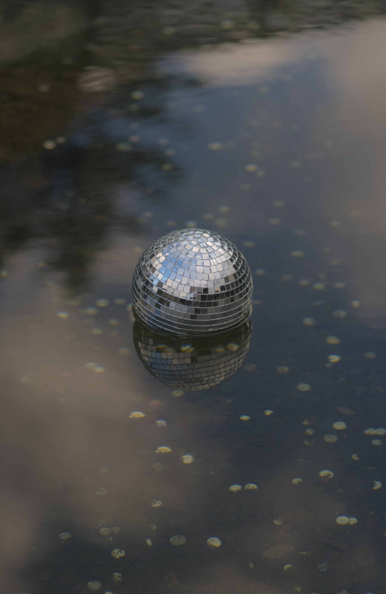 Disco Ball, 2017
Inkjet C-Print Mounted on Sintra