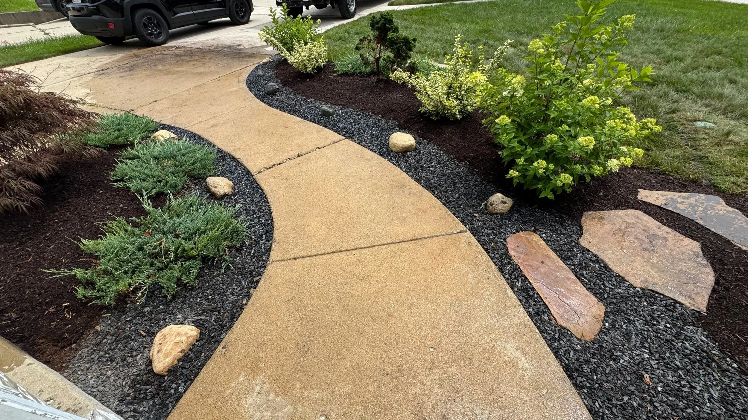 Curved concrete sidewalk bordered by small plants, shrubs, and rocks, with a grassy lawn and parked cars in the background.