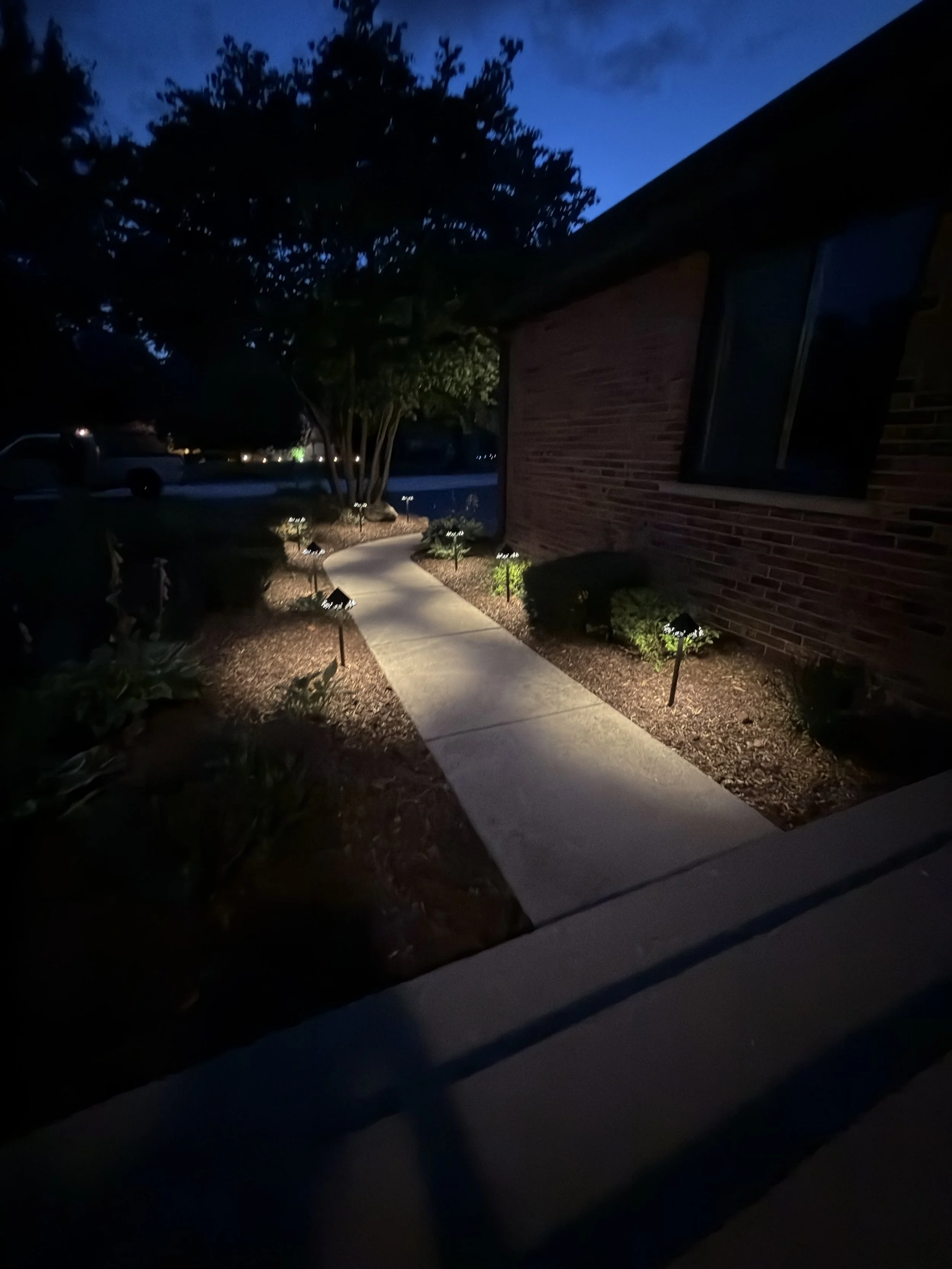 Vertical night view of a residential walkway with path lights guiding the route between planting beds.