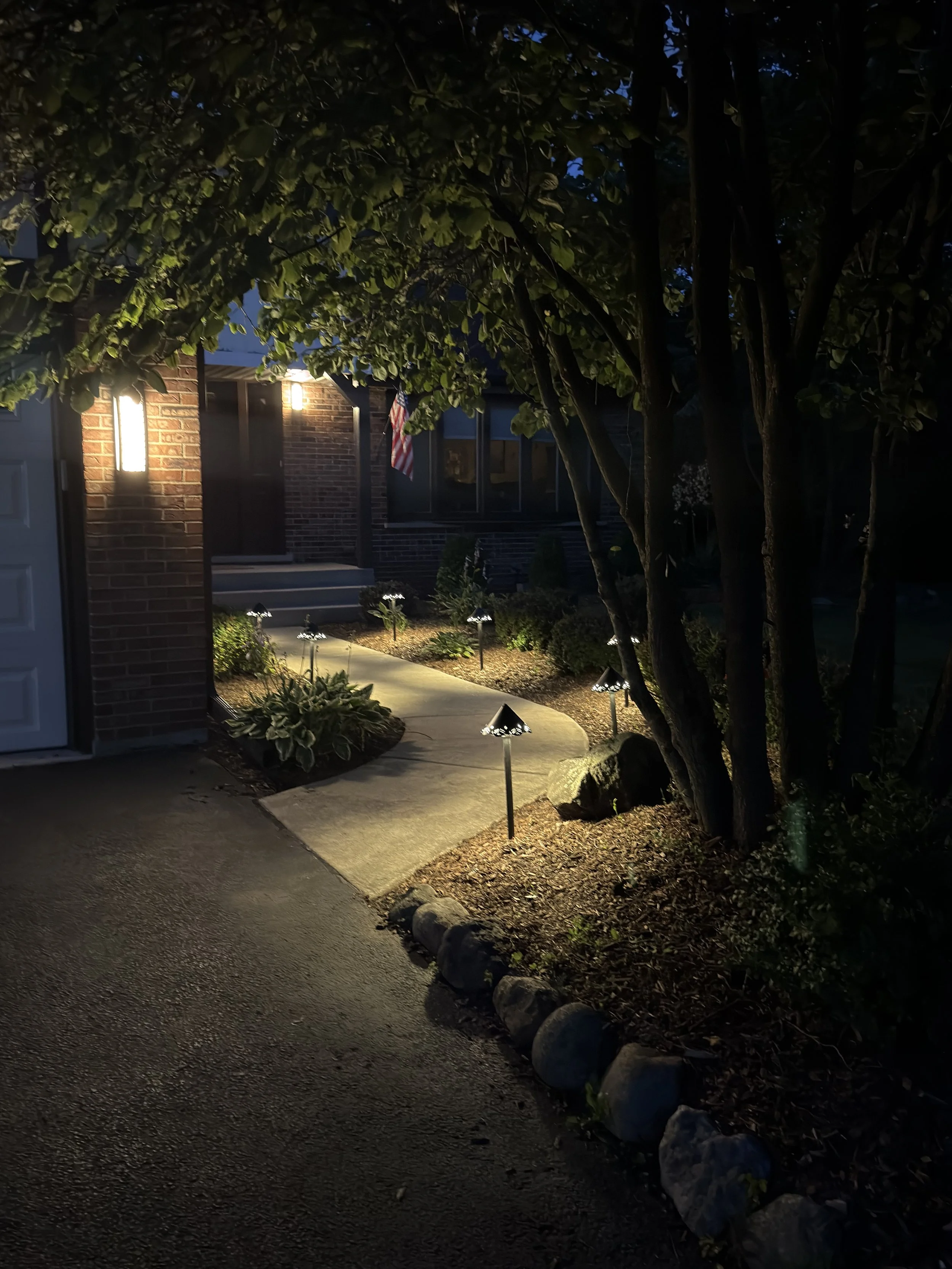 Night view of an illuminated walkway passing shrubs and decorative rocks beneath mature trees.