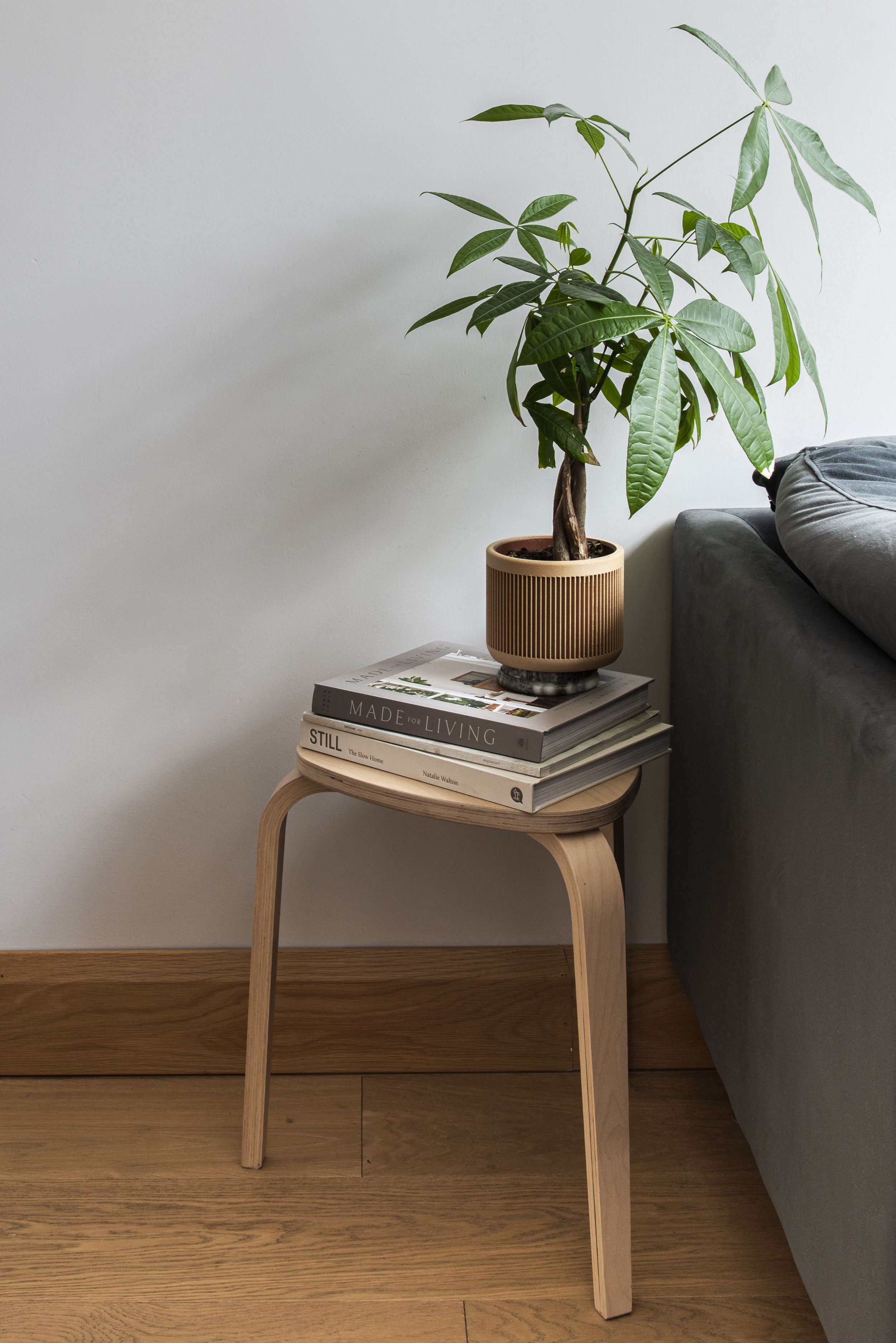 Nausicaa_studio_gaita (33 of 49).jpg