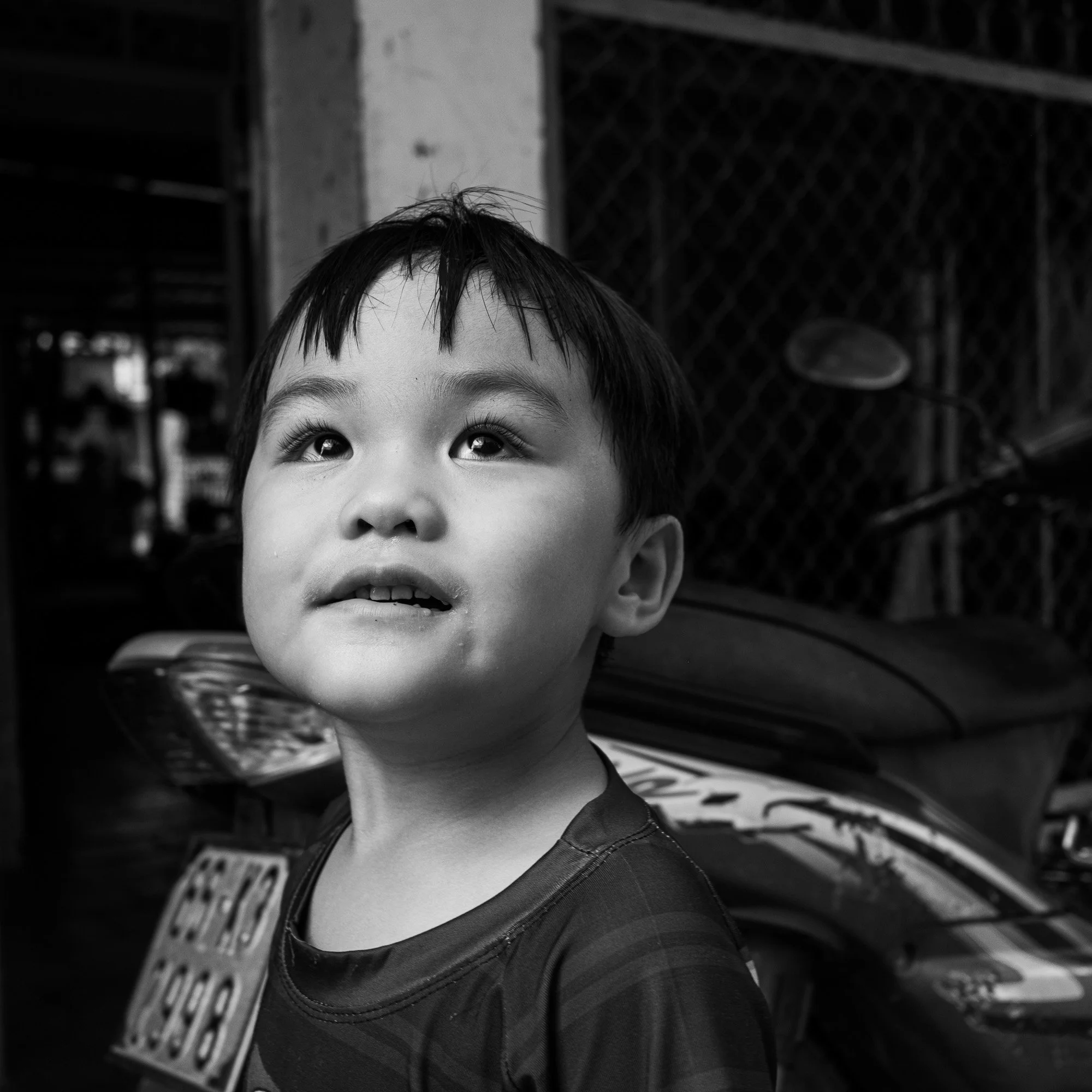SD_261005_2514X.jpg
