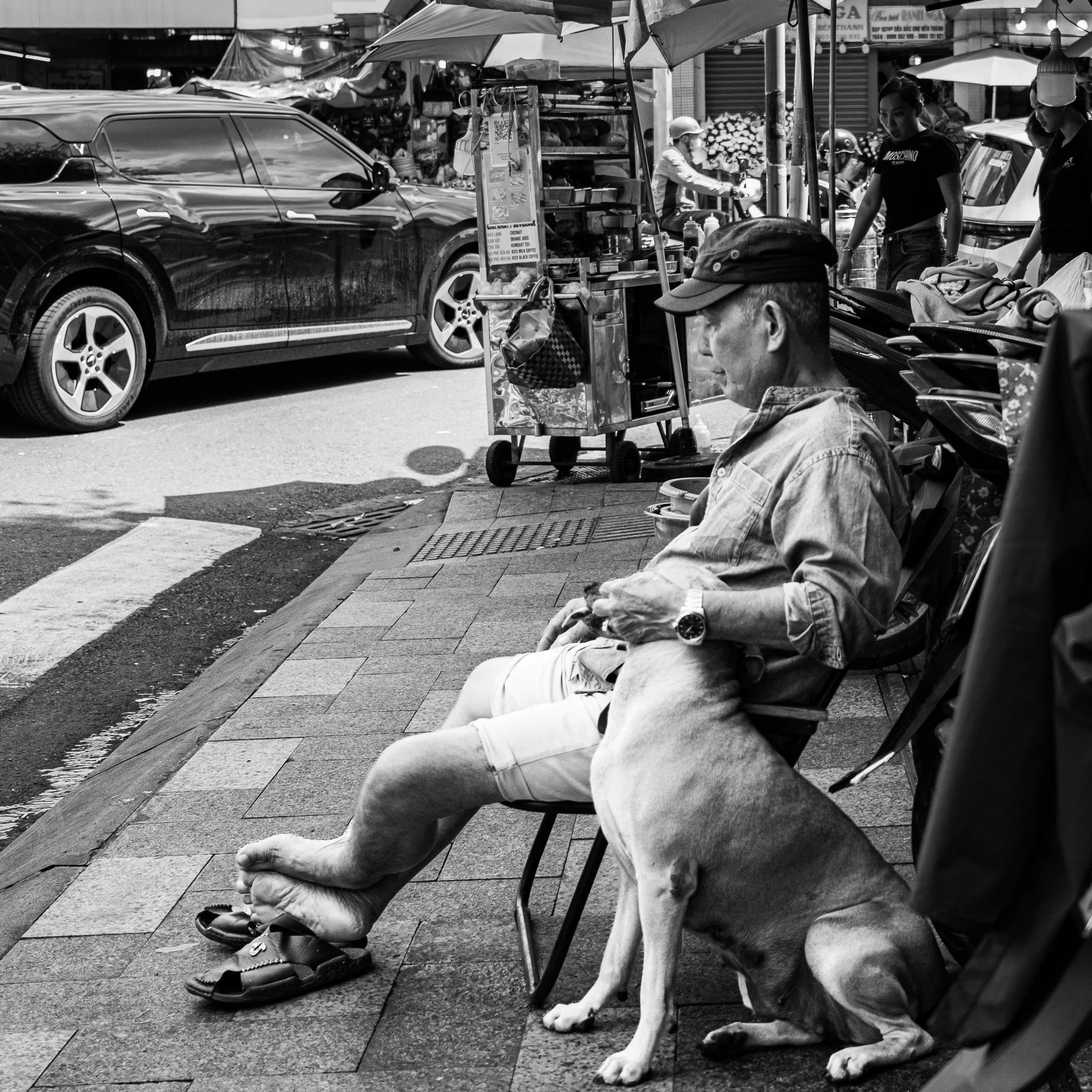 SD_260930_1880X.jpg
