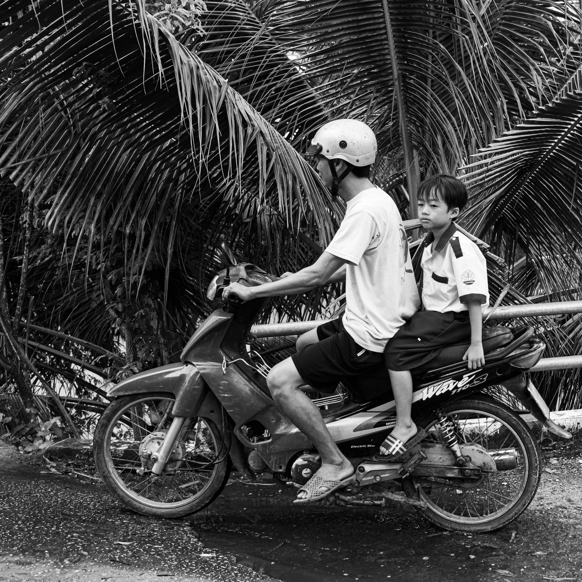 SD_261006_2806X.jpg