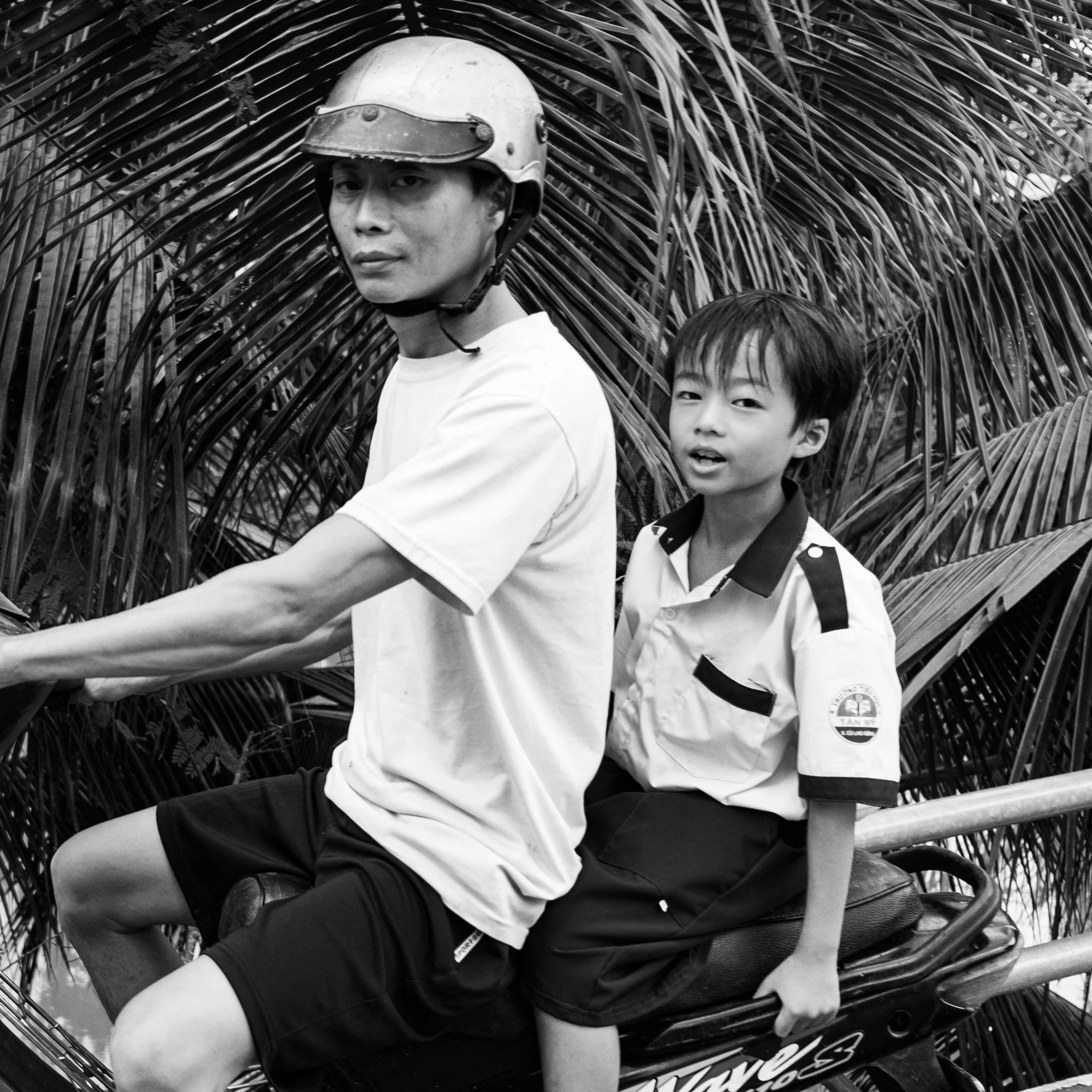 SD_261006_2808X.jpg