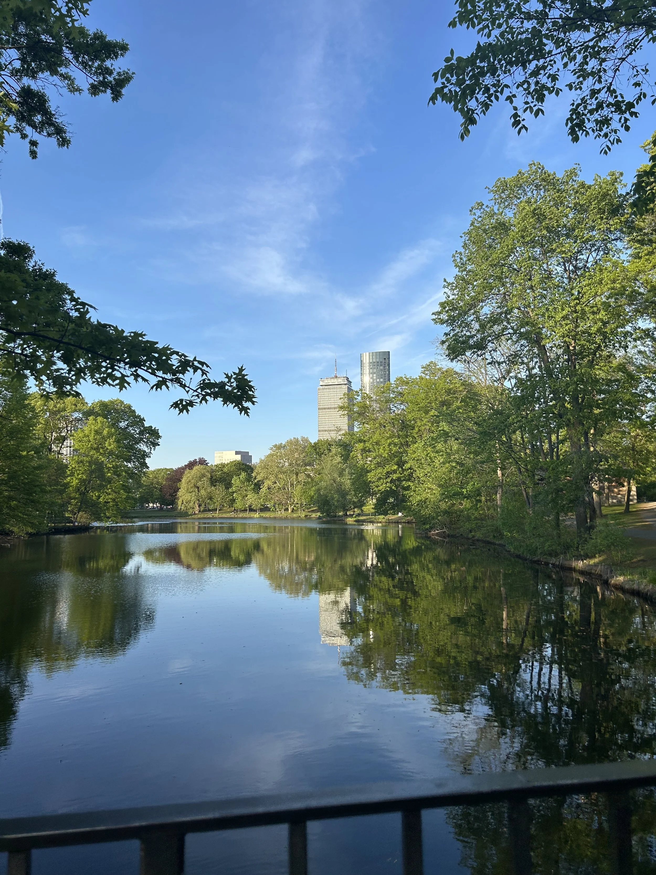 Studying, Sunsets, and Kickball: Making the Most of Summer Semesters