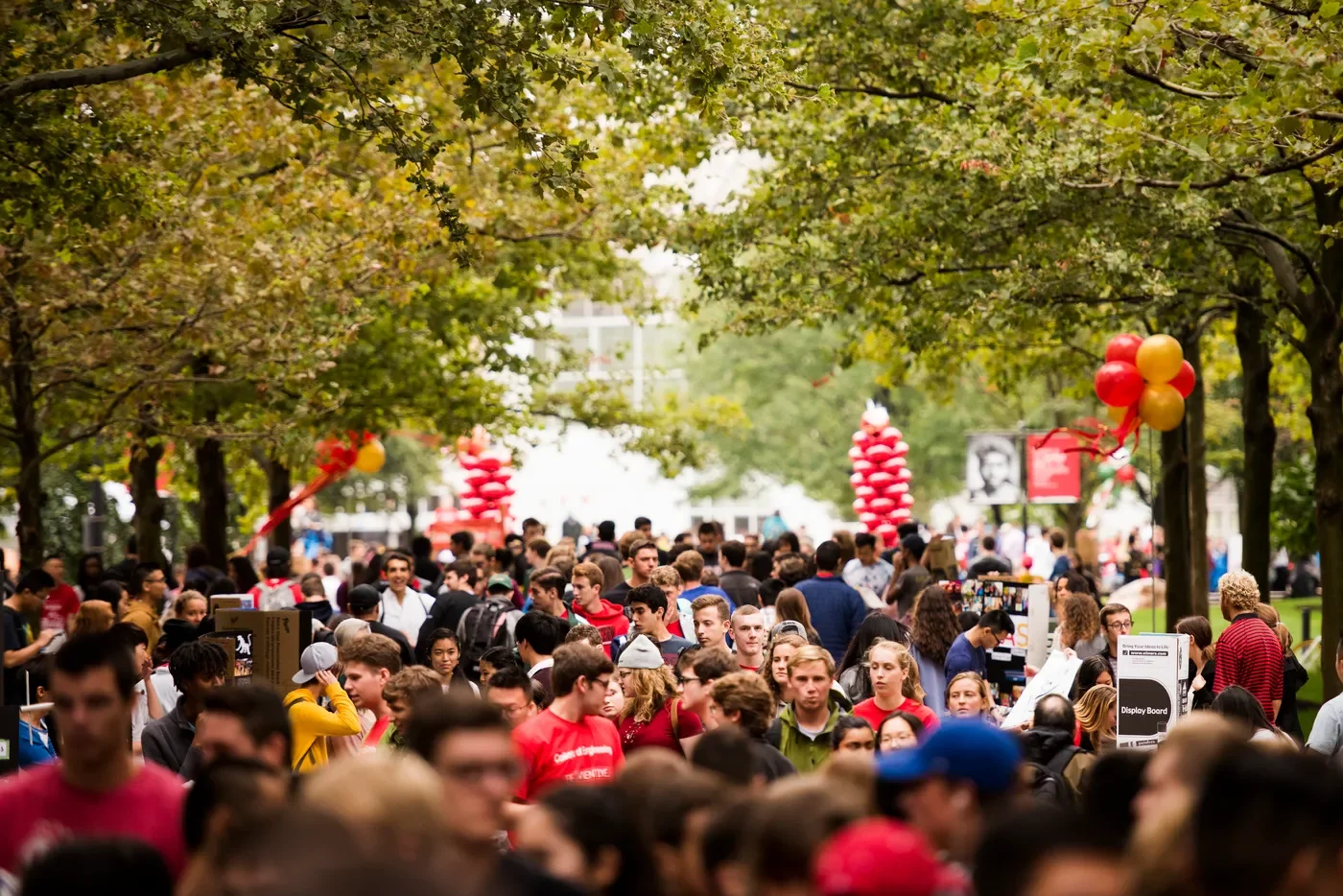 Why We Joined Husky Ambassadors: Stories from the Recruitment Chairs