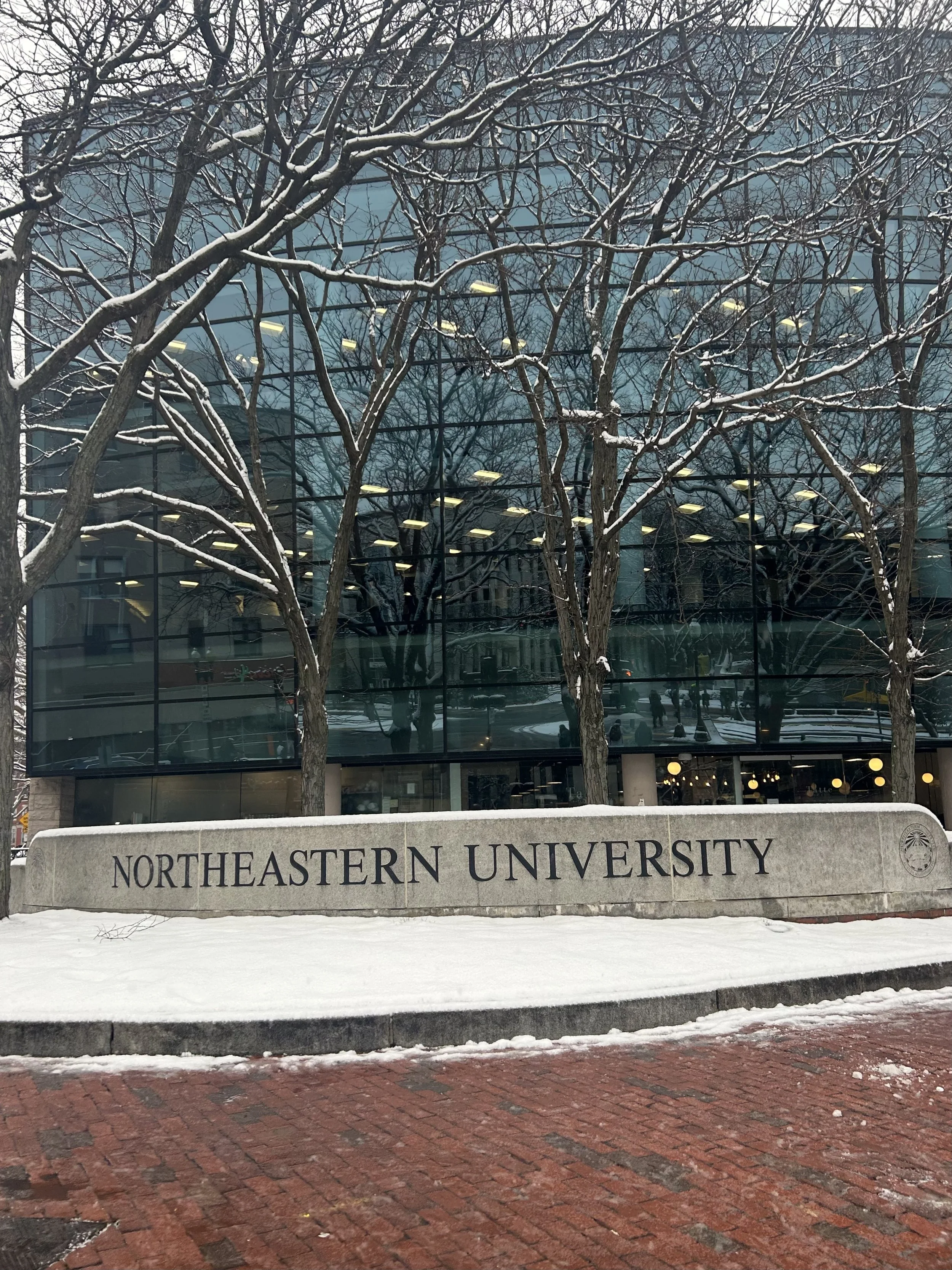 7 Activities To Make The Most Of Snow Days In Boston