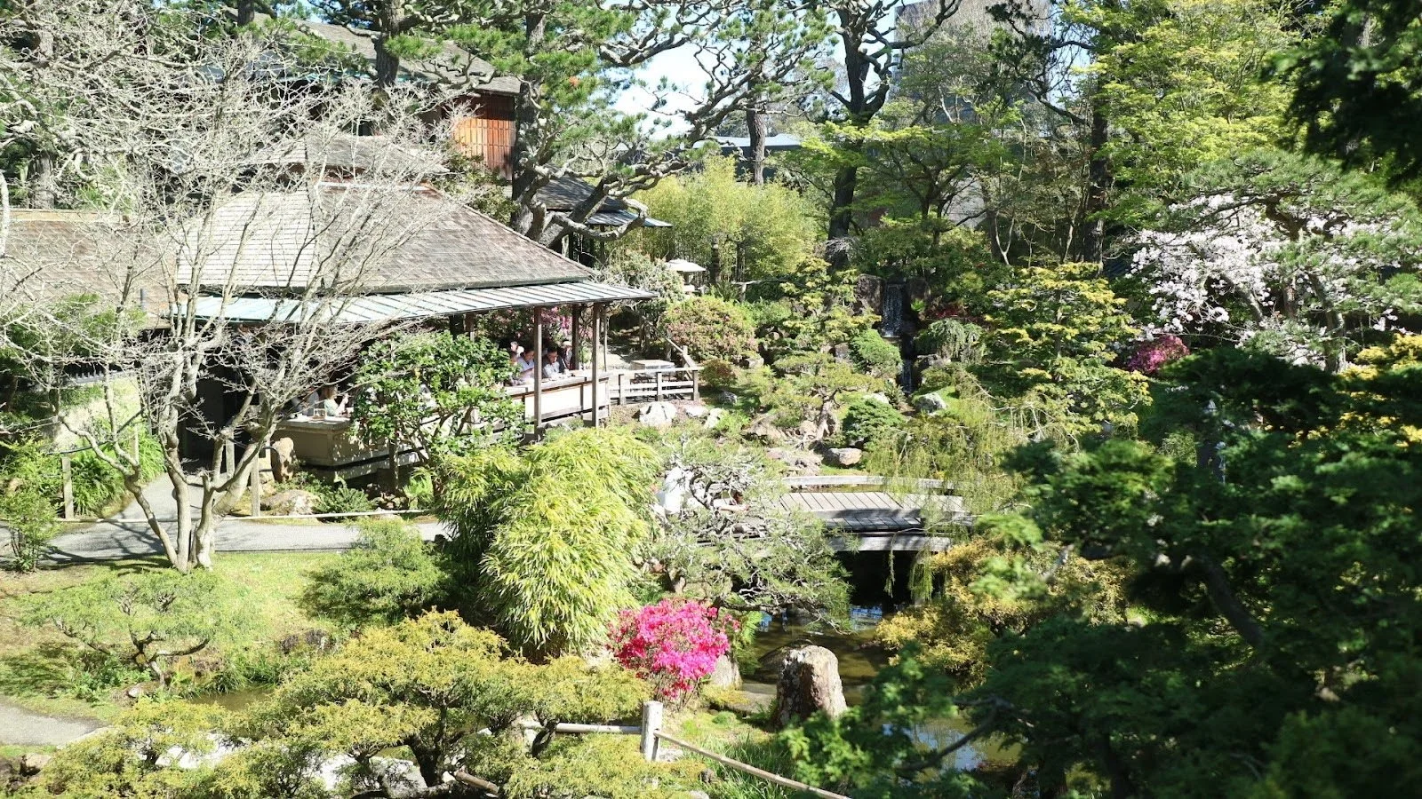 Japanese Tea Garden