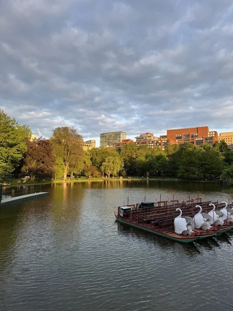 A Glimpse into Northeastern Life in the Spring