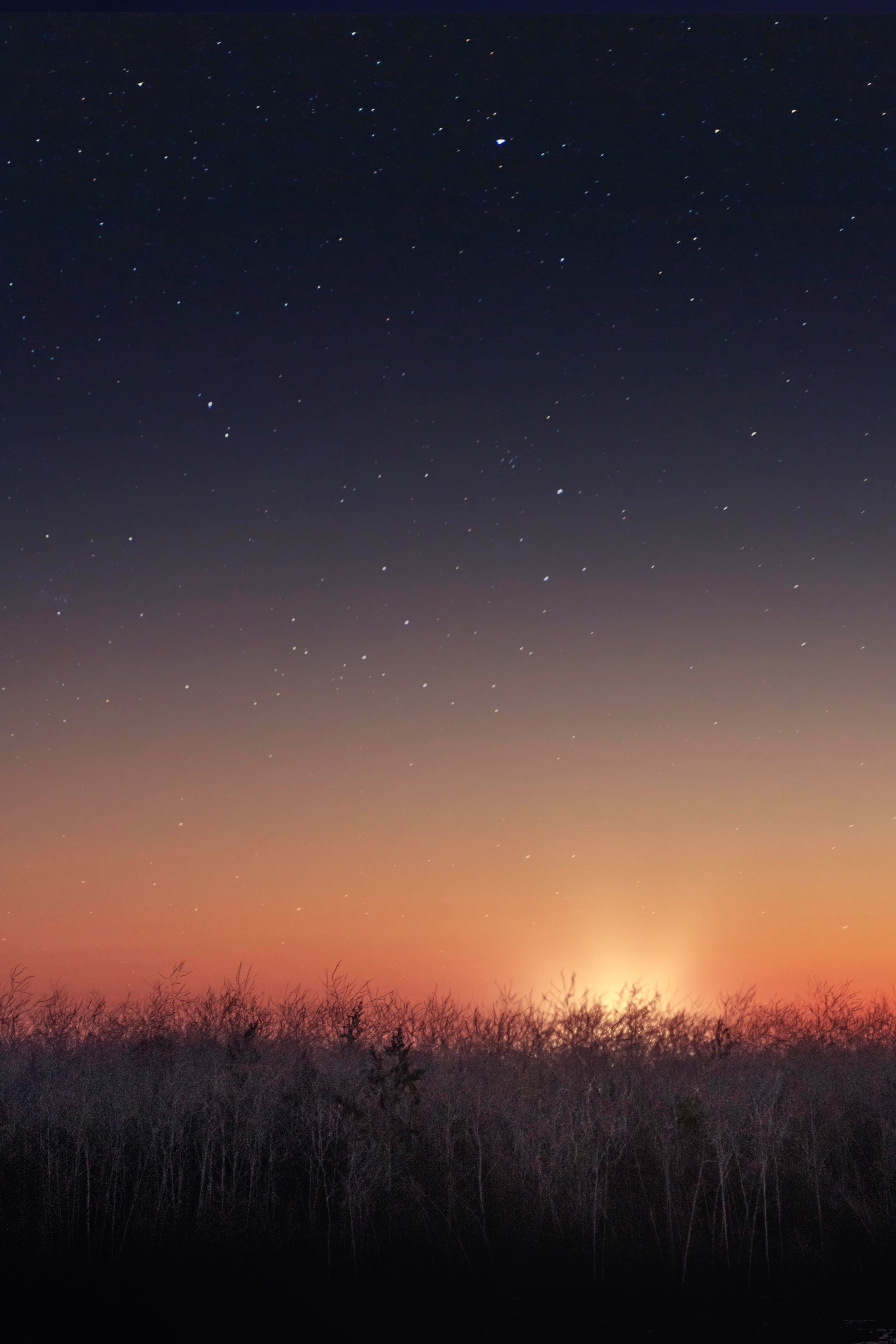Things to do when the Sun is in Cancer