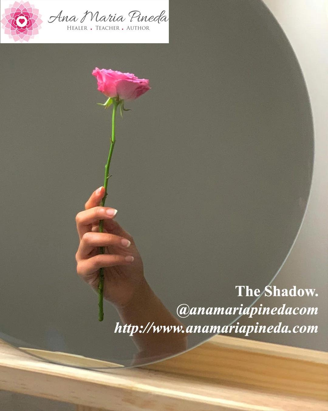 Shadow