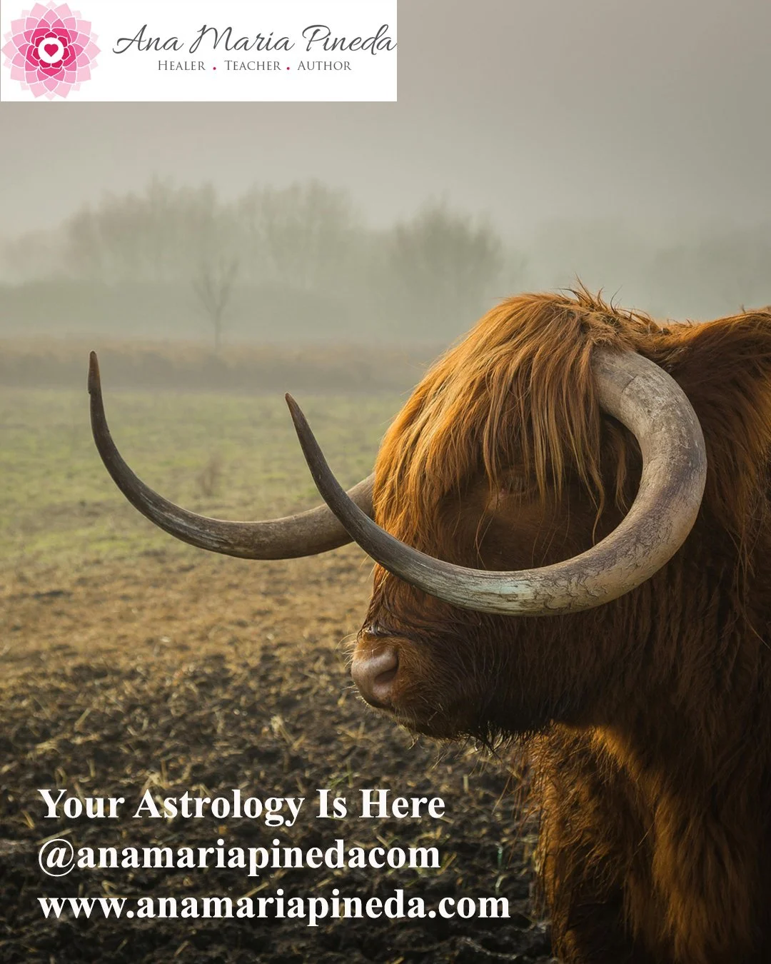 Mars in Taurus