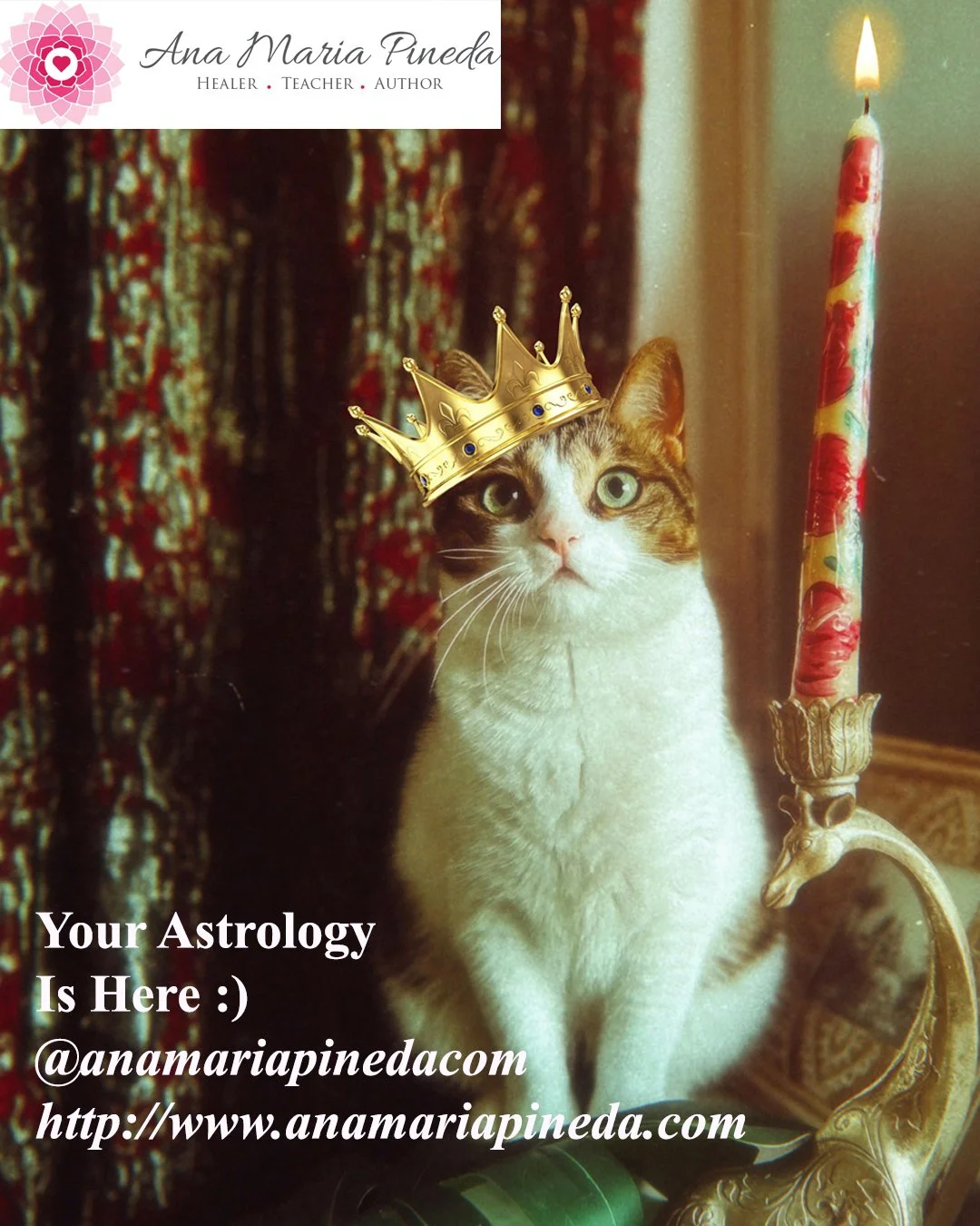 Weekly Astrological Forecast