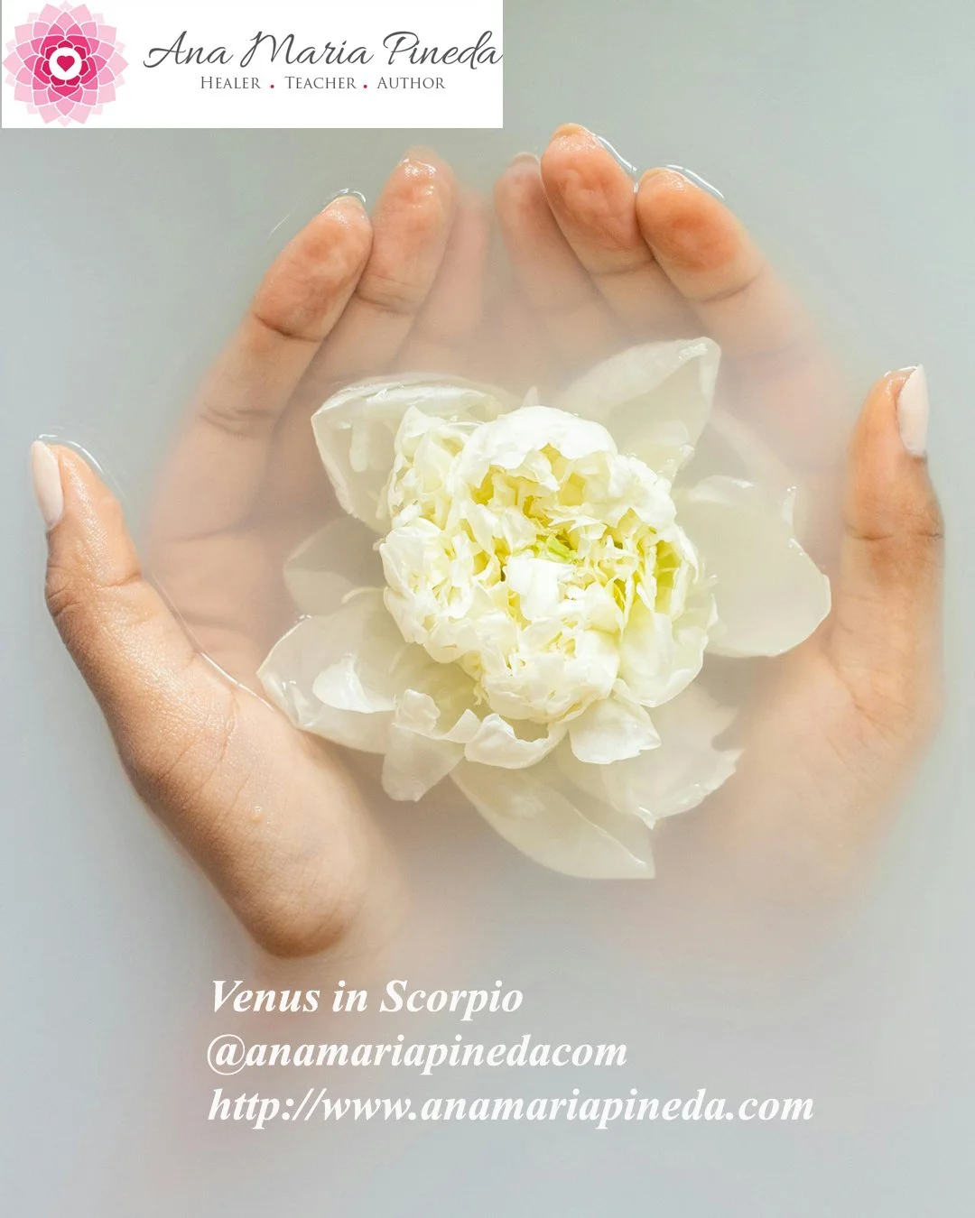 Venus in Scorpio