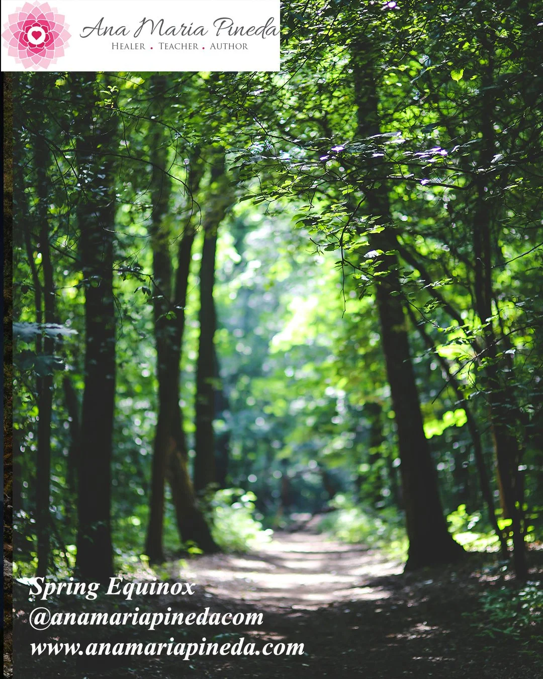 Spring Equinox Angel and Astrology Circle