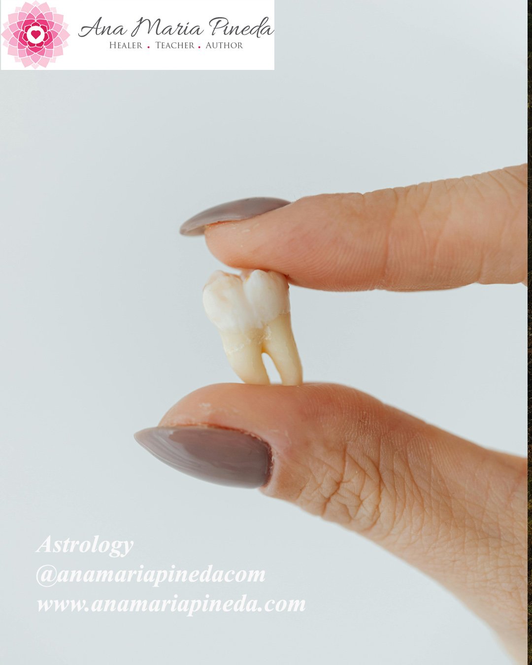 New Moon in Pisces lessons