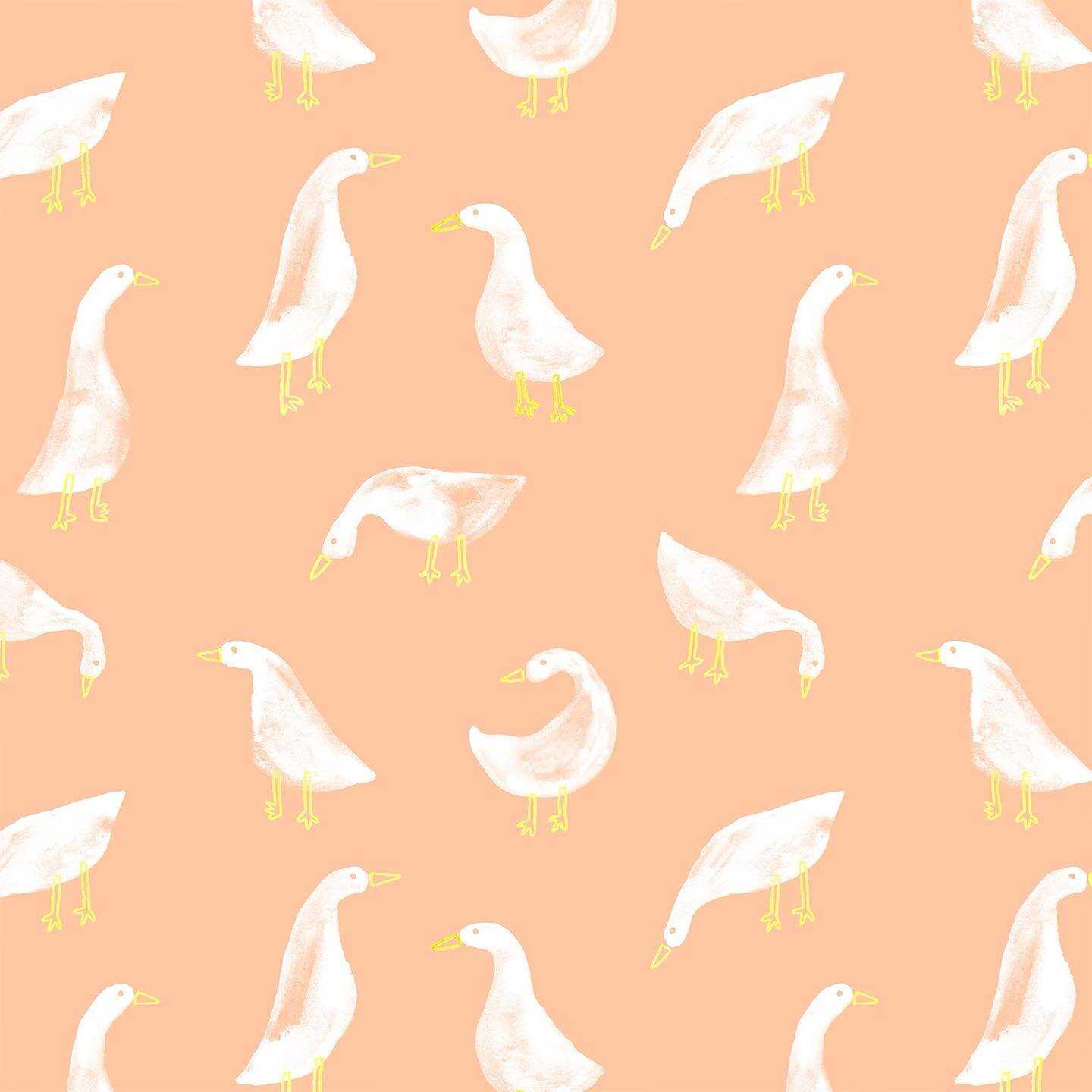 Springtime ducks 🌼 Which color combo is your favorite?