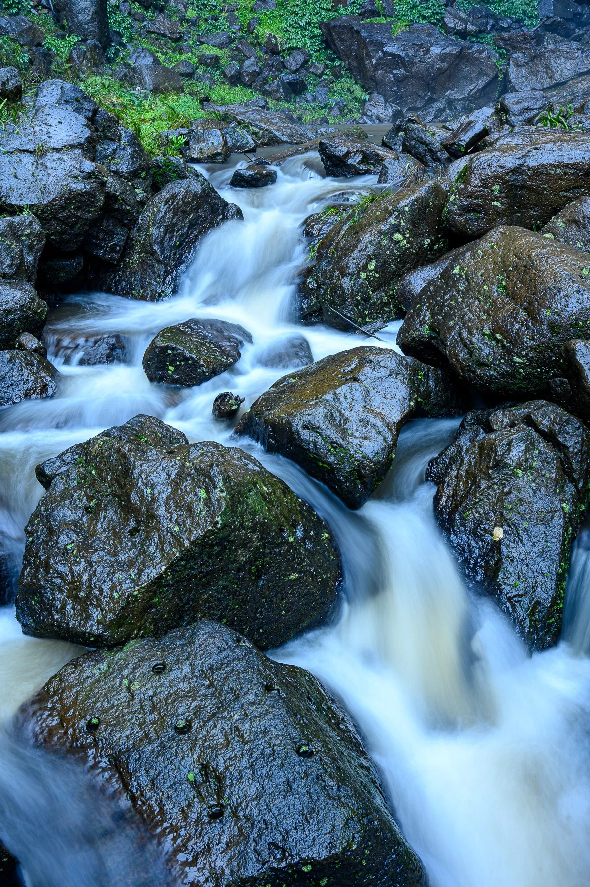 Derek_QueenMary_falls (3).jpg