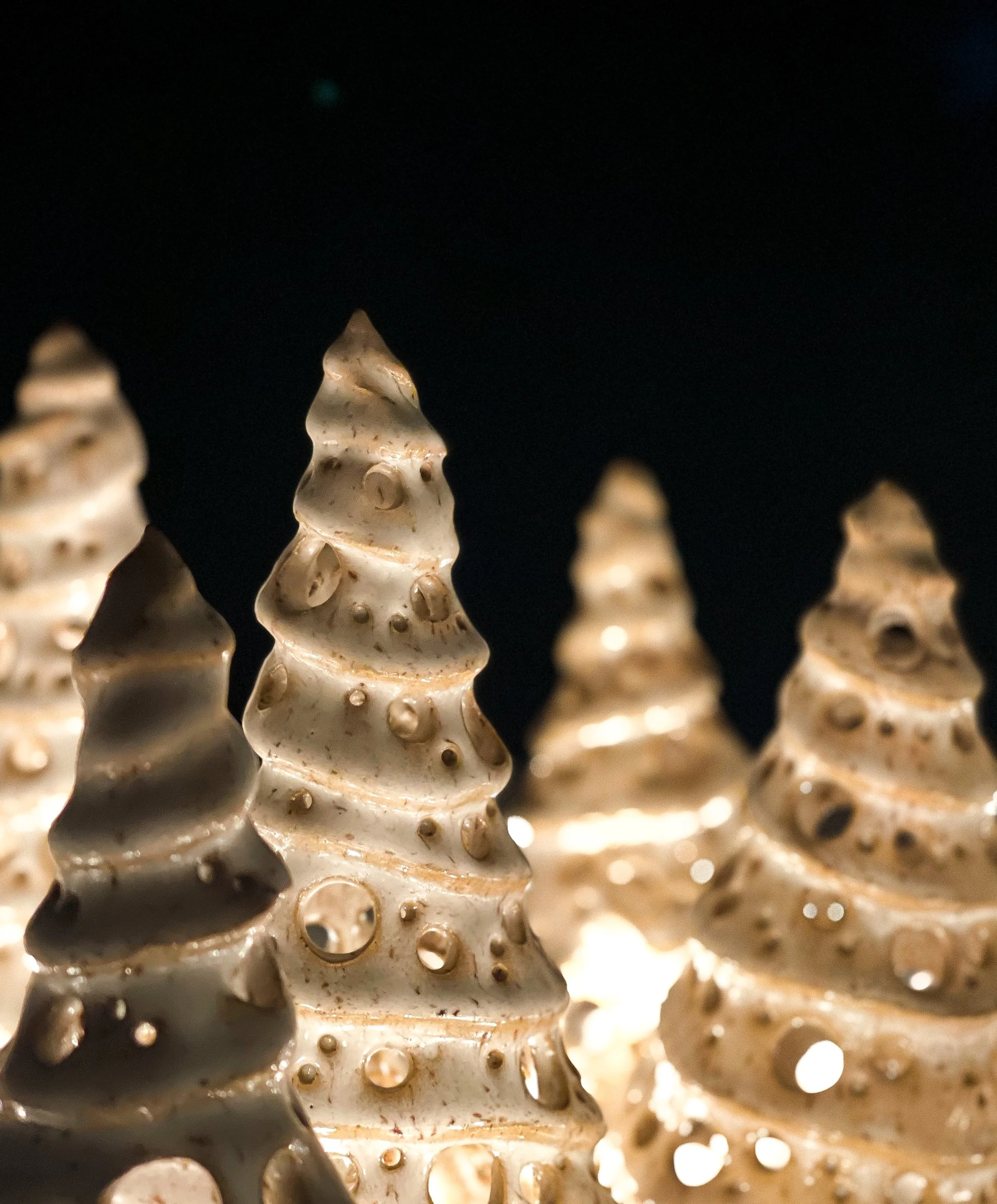 067106A6-EF77-4213-94B5-992AFB9EF840 2.JPEG