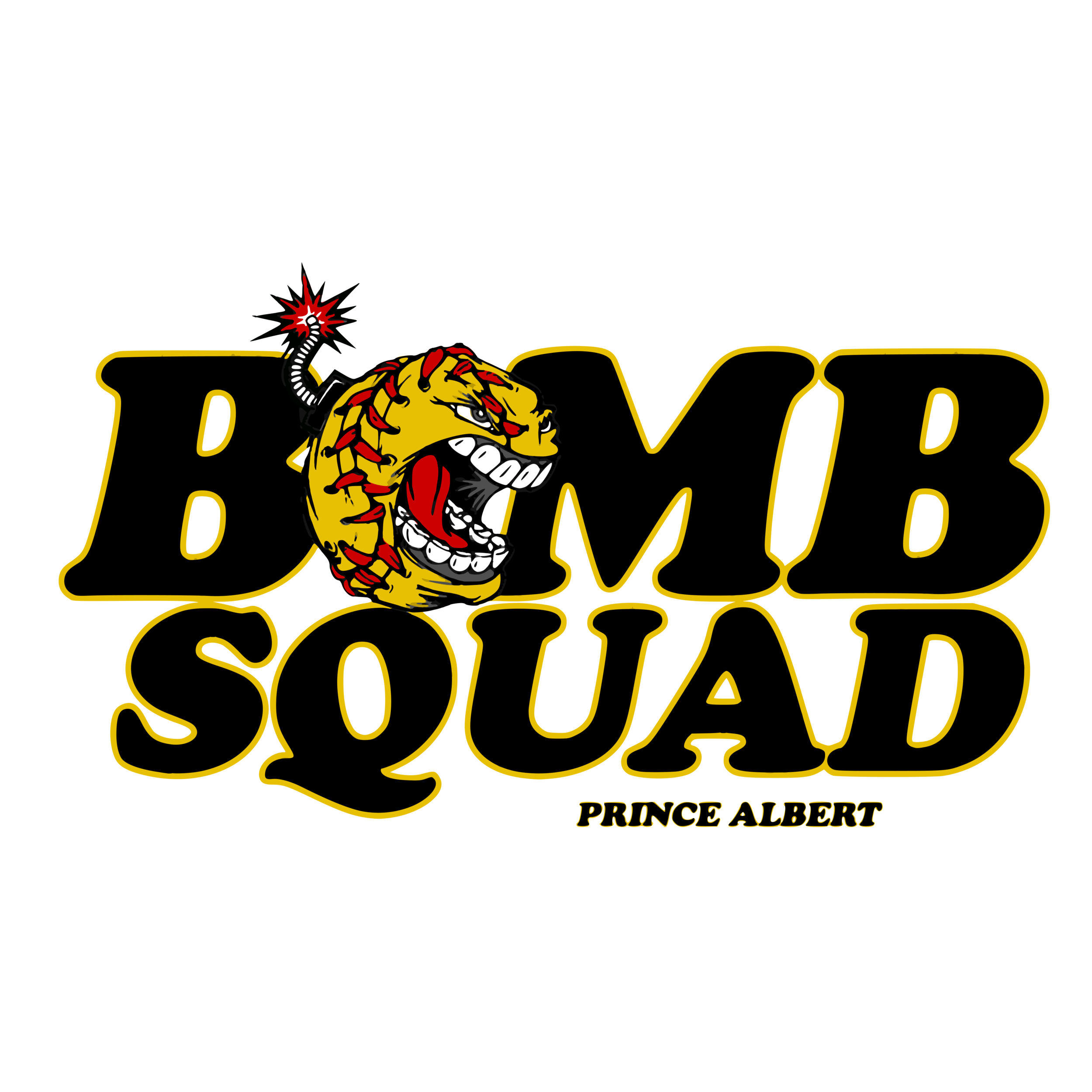 bombsquadpa (2).png