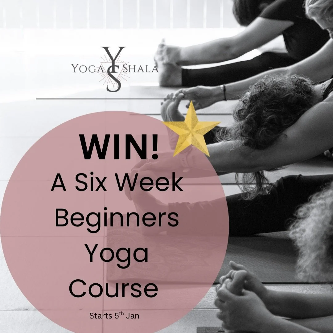 Term Starts next Monday! 

To be in with a chance of winning this amazing start to 2026 follow the instructions below. 👇 Good luck! 

With this amazing give away WIN a FREE 6 class pack worth over &pound;78- to one lucky winner!!
To be in with a cha