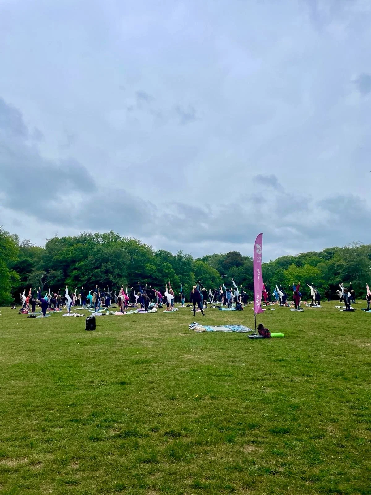 Thank you @surreysouls for the opportunity to teach this beautiful community class! 

This is certainly the biggest class I&rsquo;ve ever taught at 75 people I will be honest I felt nervous. 

I have a bit of a moto for life and it goes like this. &l