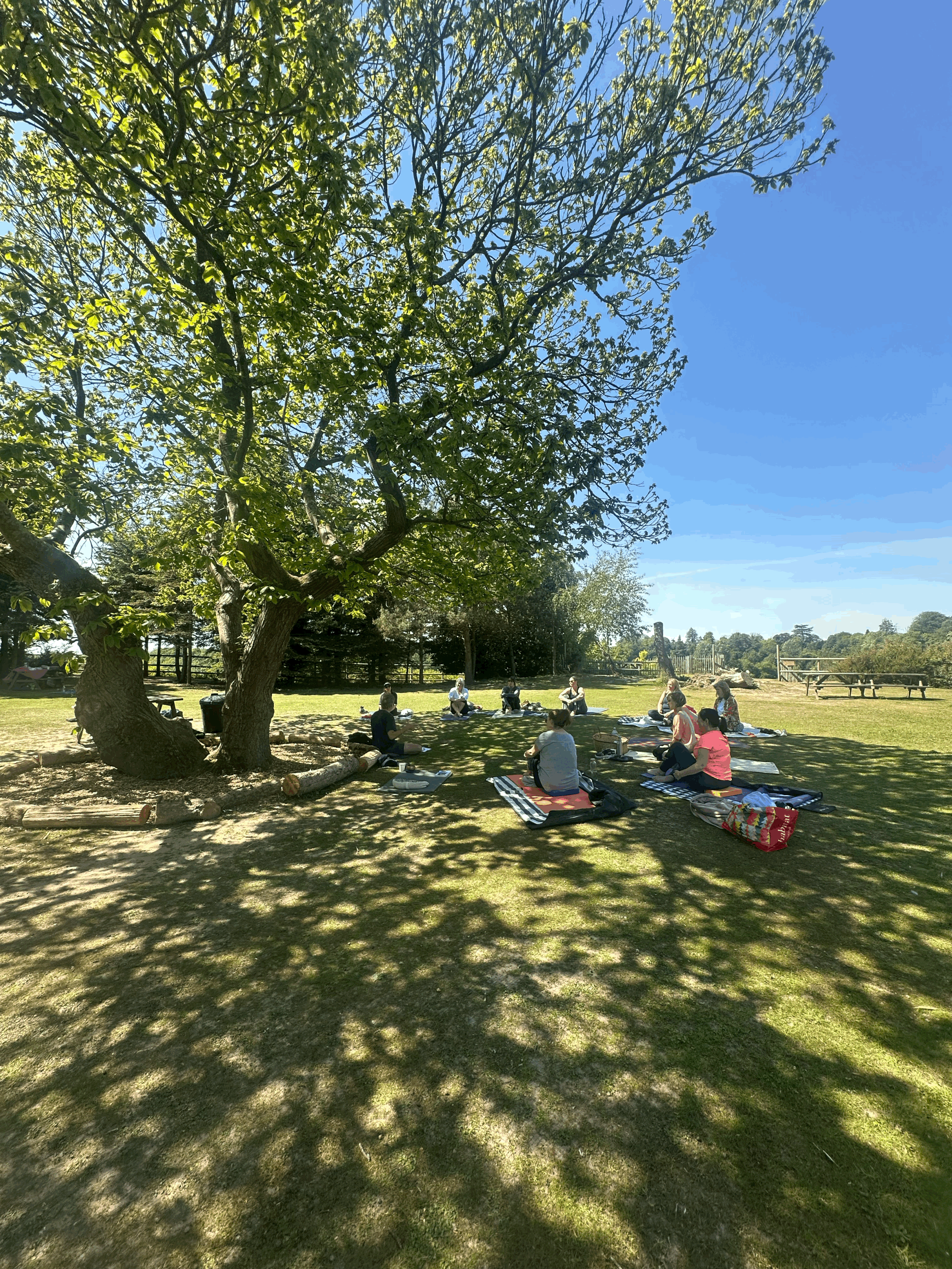 tempImageKbBQgO.gif