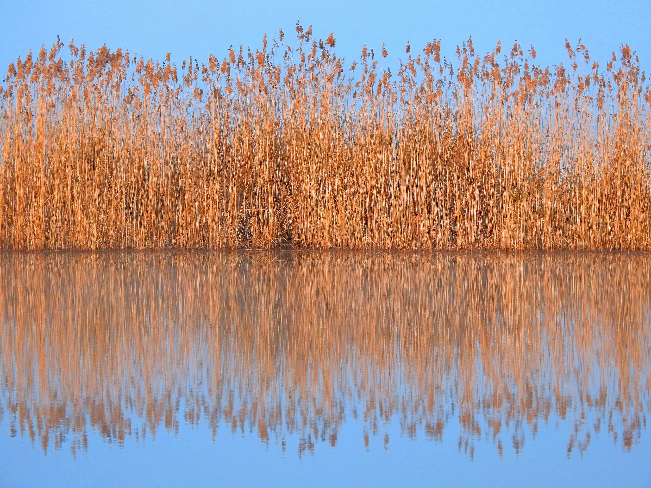 9B8779AB-714B-4B04-BD11-8294B018B012 2.JPG