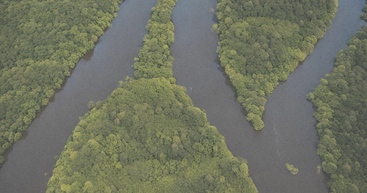 It’s Time to Tell the Truth About Nature