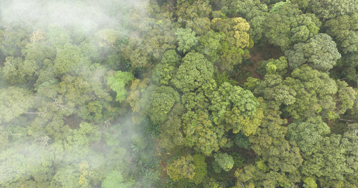 Philanthropy: the Untapped Trillion-Dollar Climate Opportunity