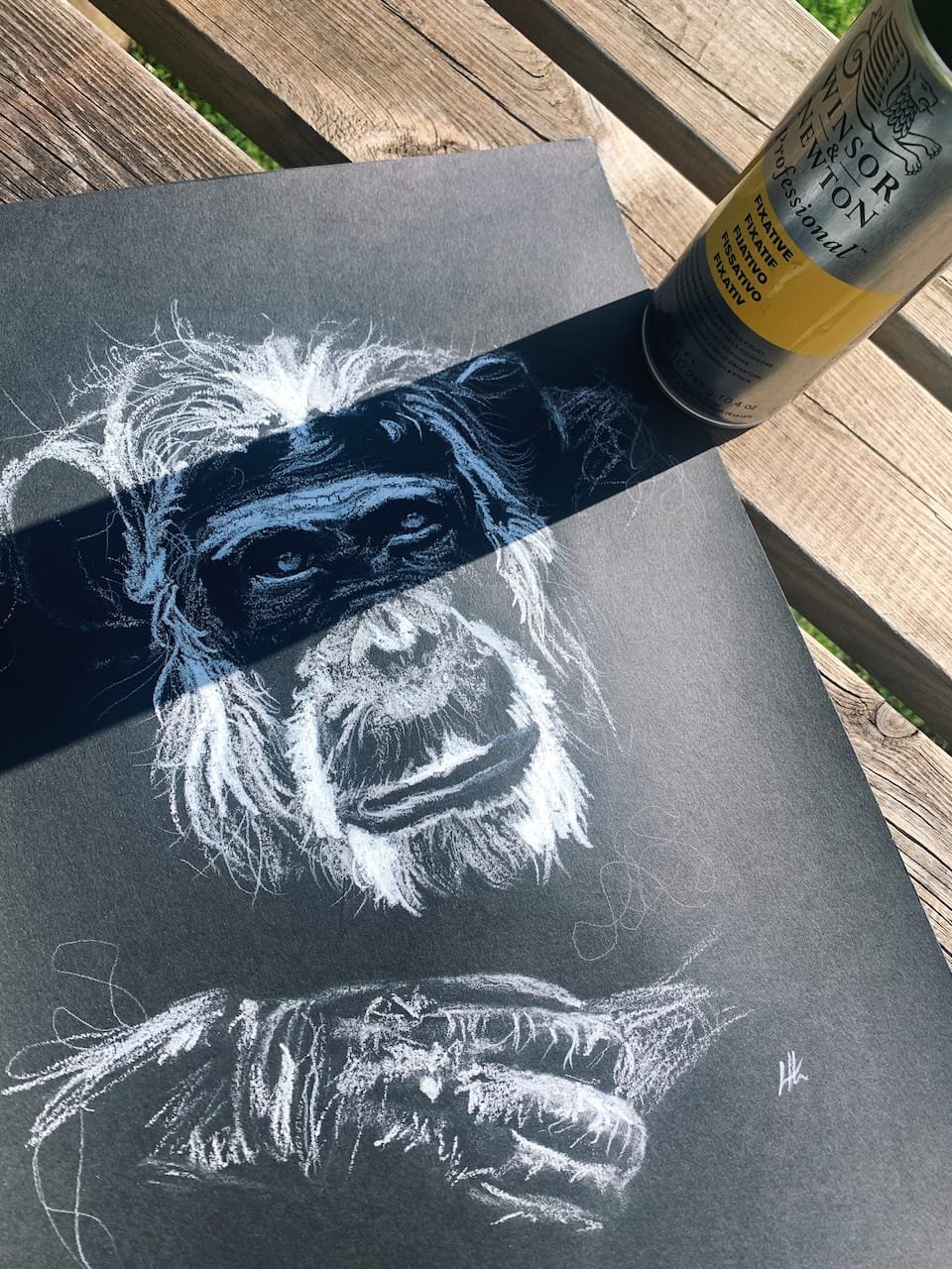 lauren hawkins artist chimp drawing.jpeg