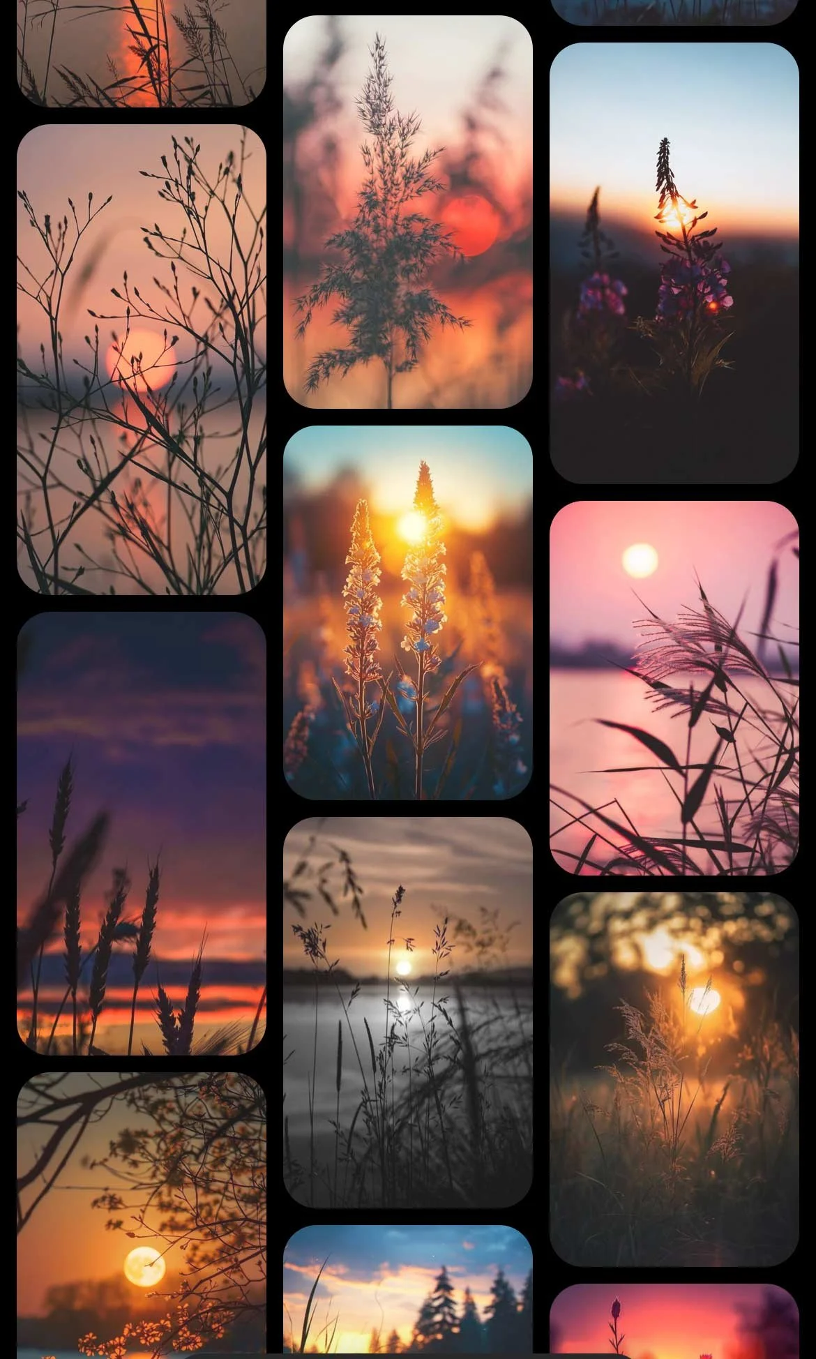 Wild Grasses at Dusk: Painting Sunset Silhouettes