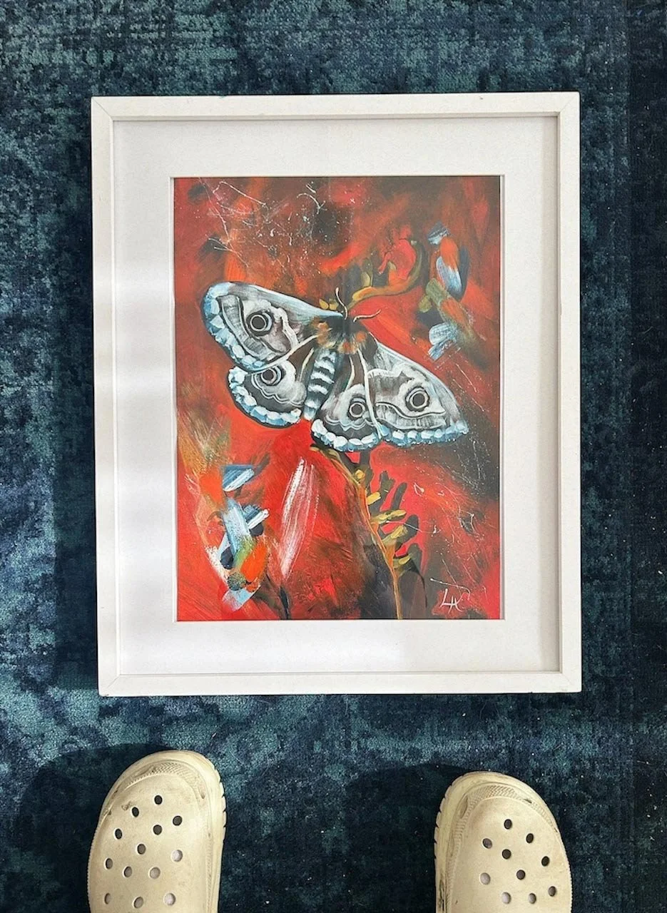 Wings of Wonder: Beautiful Butterflies and Majestic Moths
