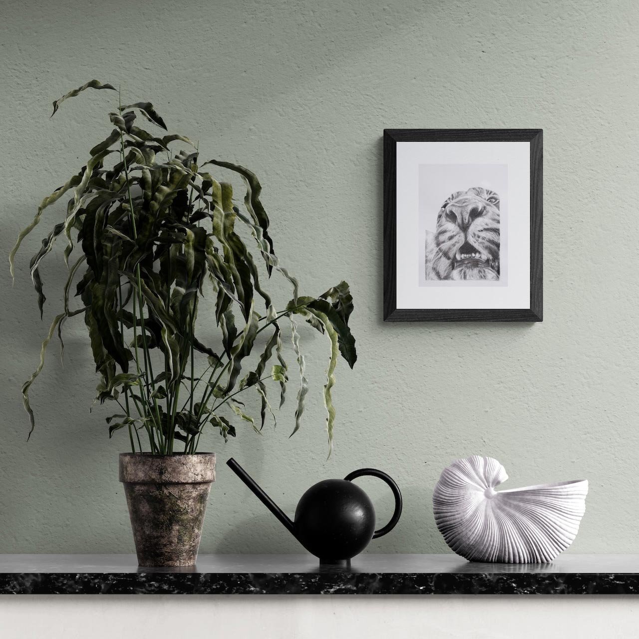 pot-plant-and-large-sea-shell-tiger-drawing.jpg