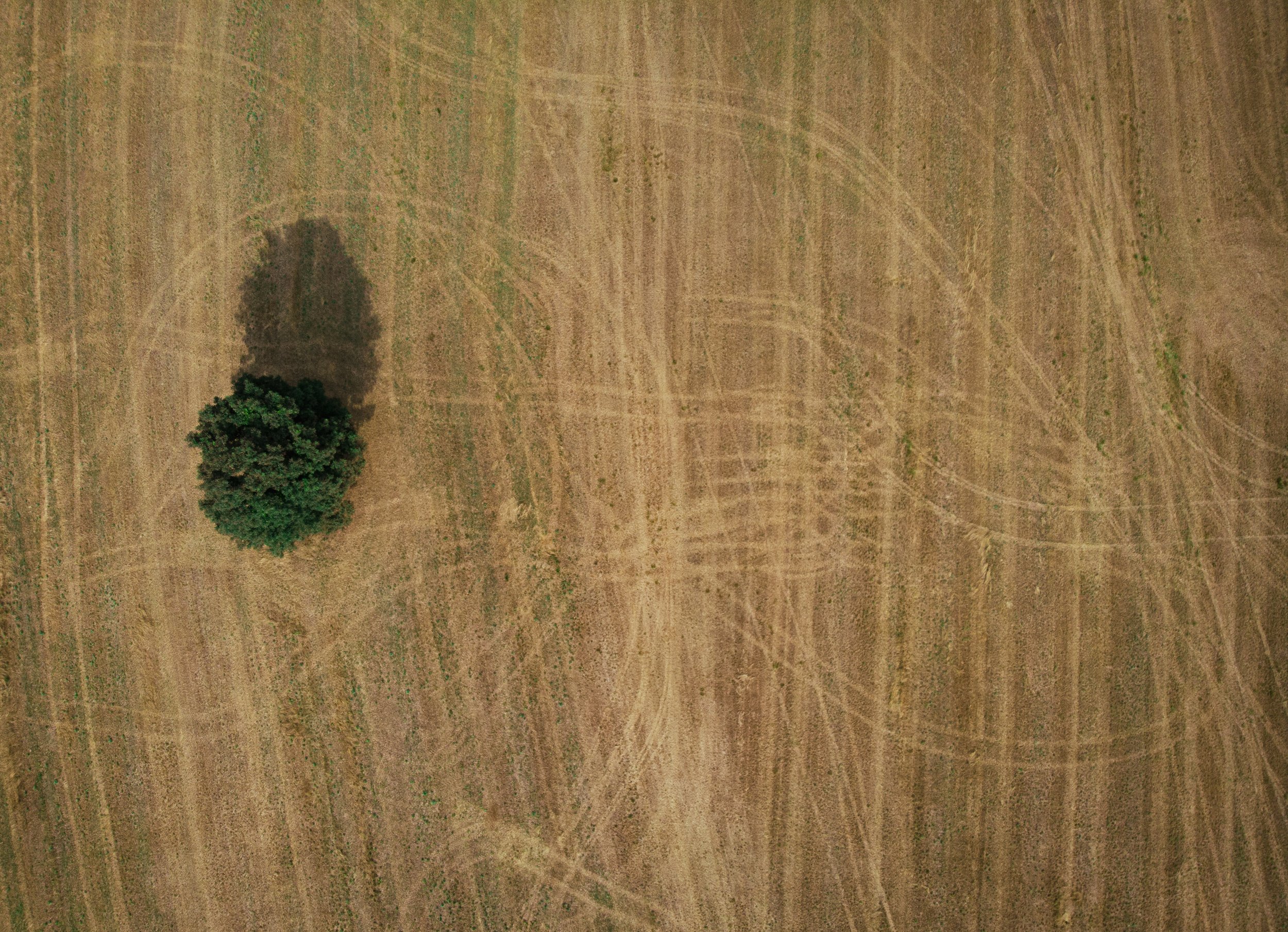 Farm - birdseye.jpg