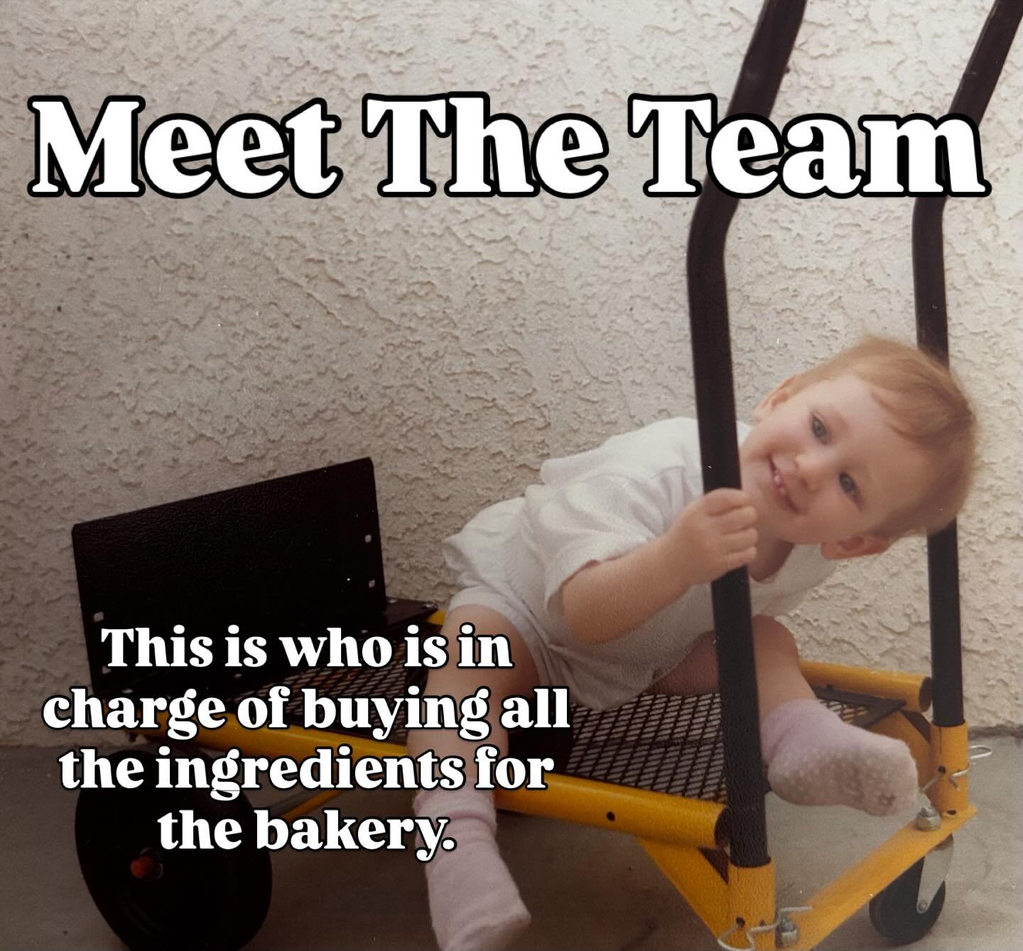 Meet the Team! Swipe to see everyone 😉

Had to jump on this trend 🥰 

#meettheteam #internationalwomansday #trendy #smallbusinesslove #bayareabaker