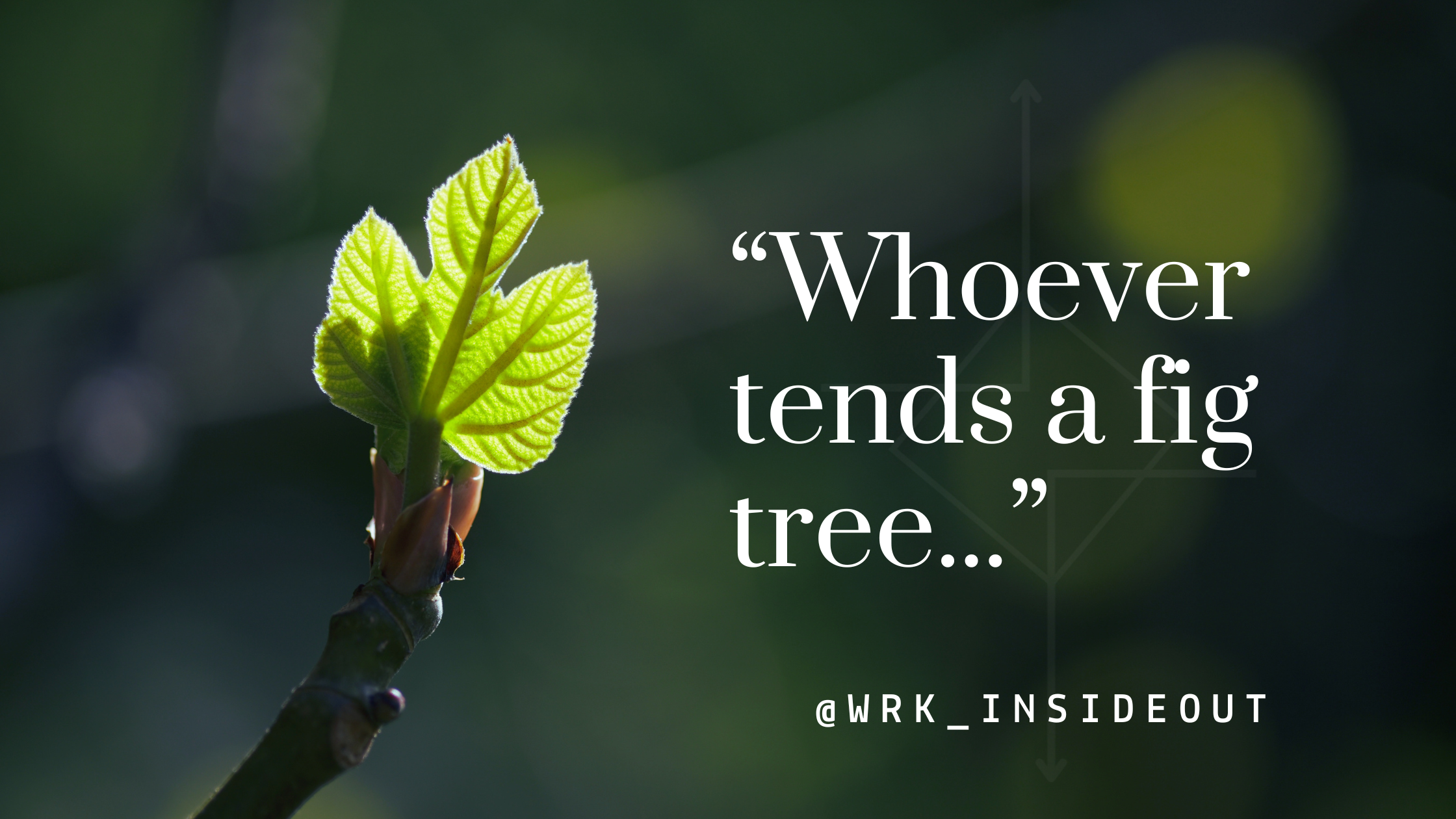 “Whoever tends a fig tree…”