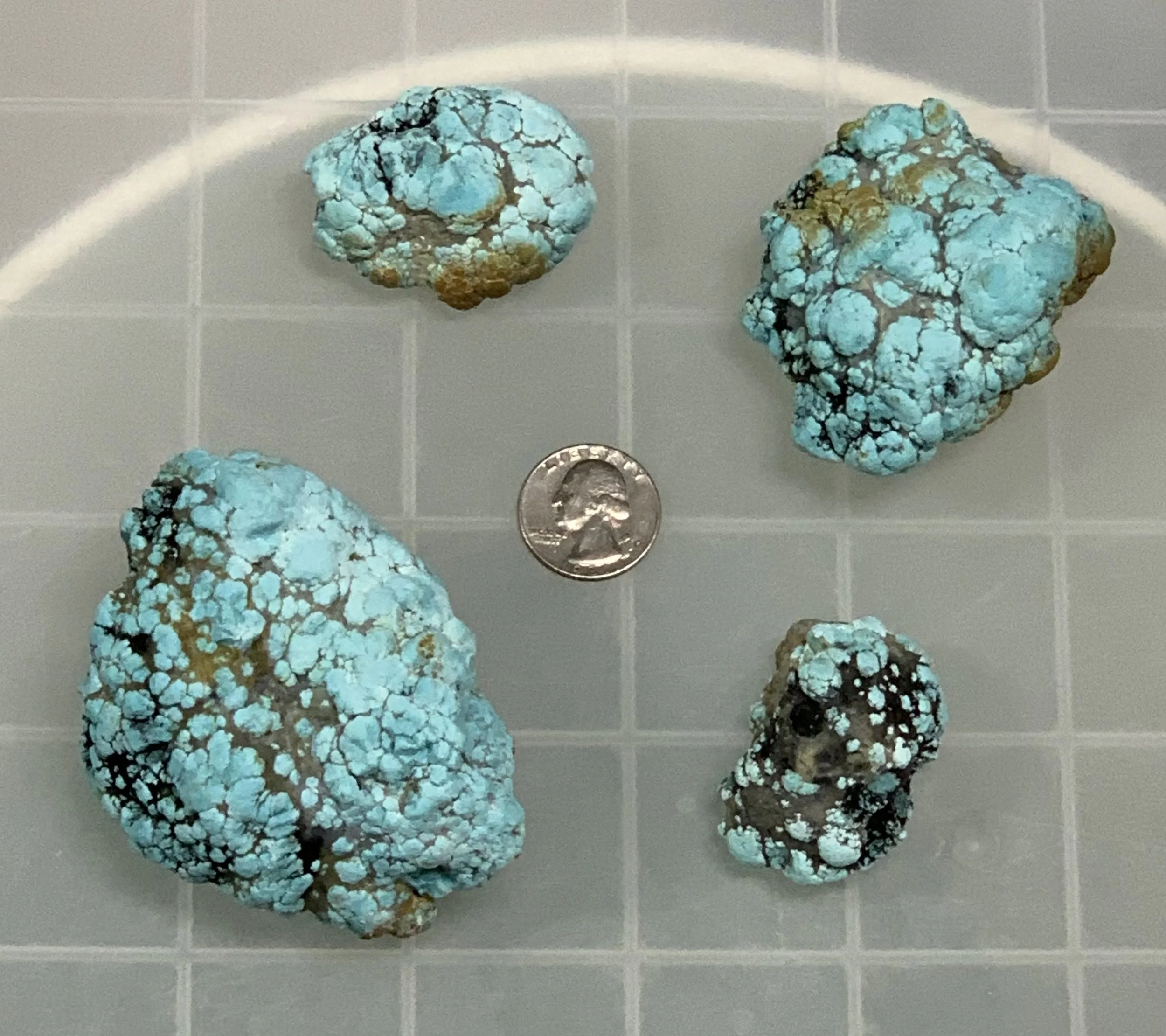 New eggs from the latest run