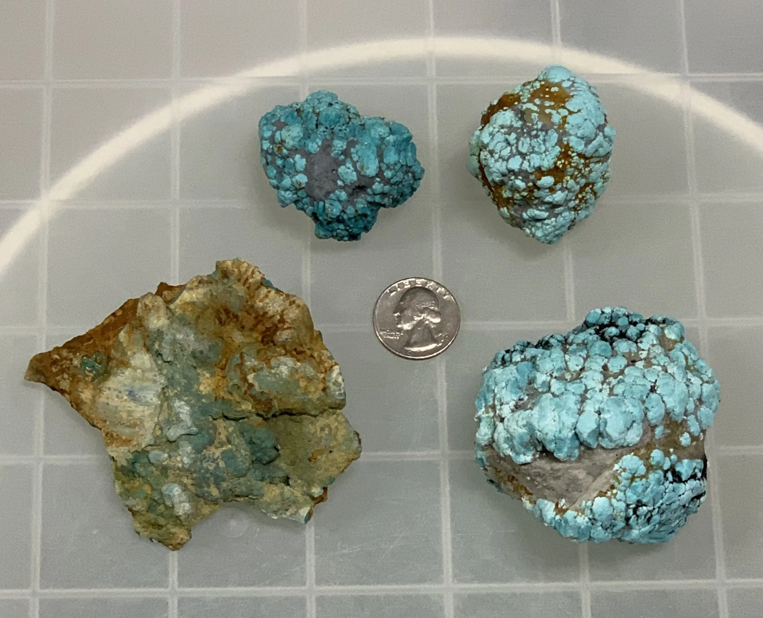 New from the latest run!