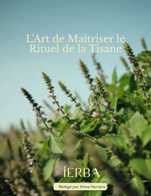 Page de couverture - FR.jpg