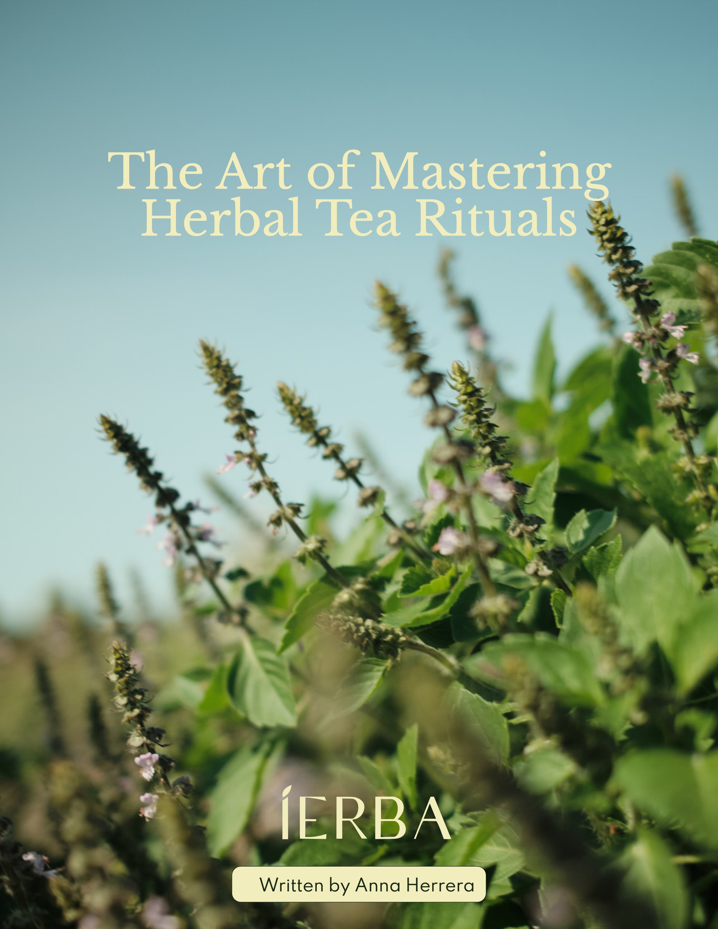 Front Page - EN_1.jpg