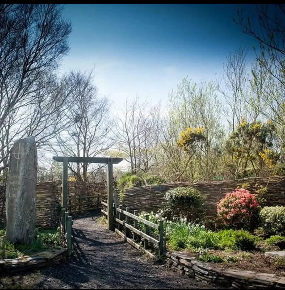 IMG_1893 - Copy.jpeg