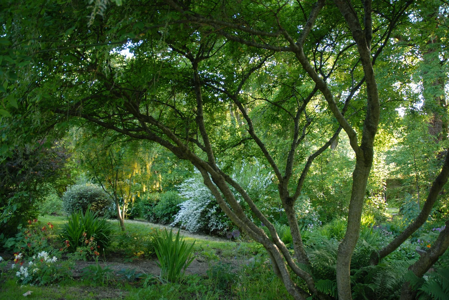 Donegal Garden Trail