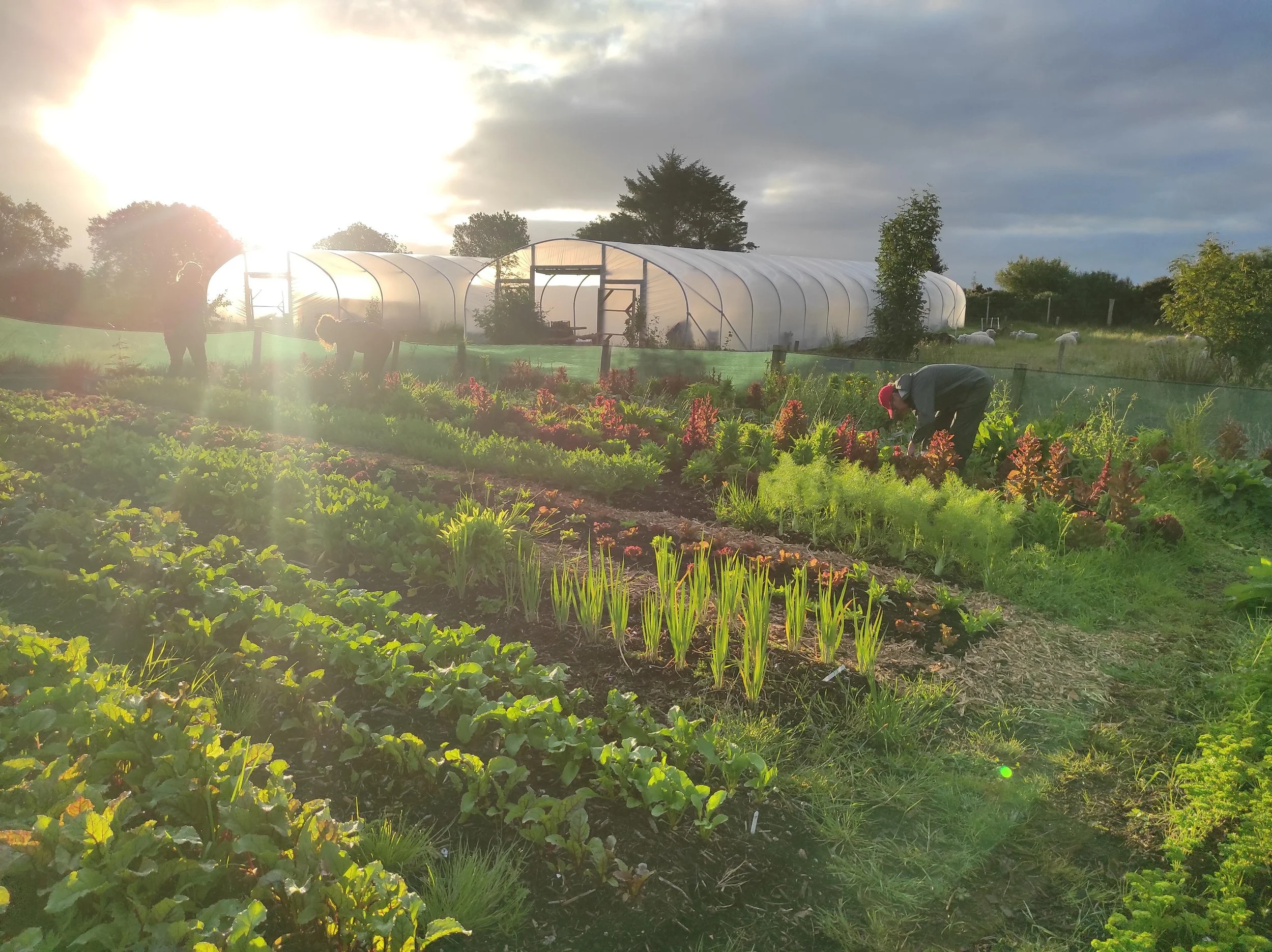 1773674114956 resized.jpg