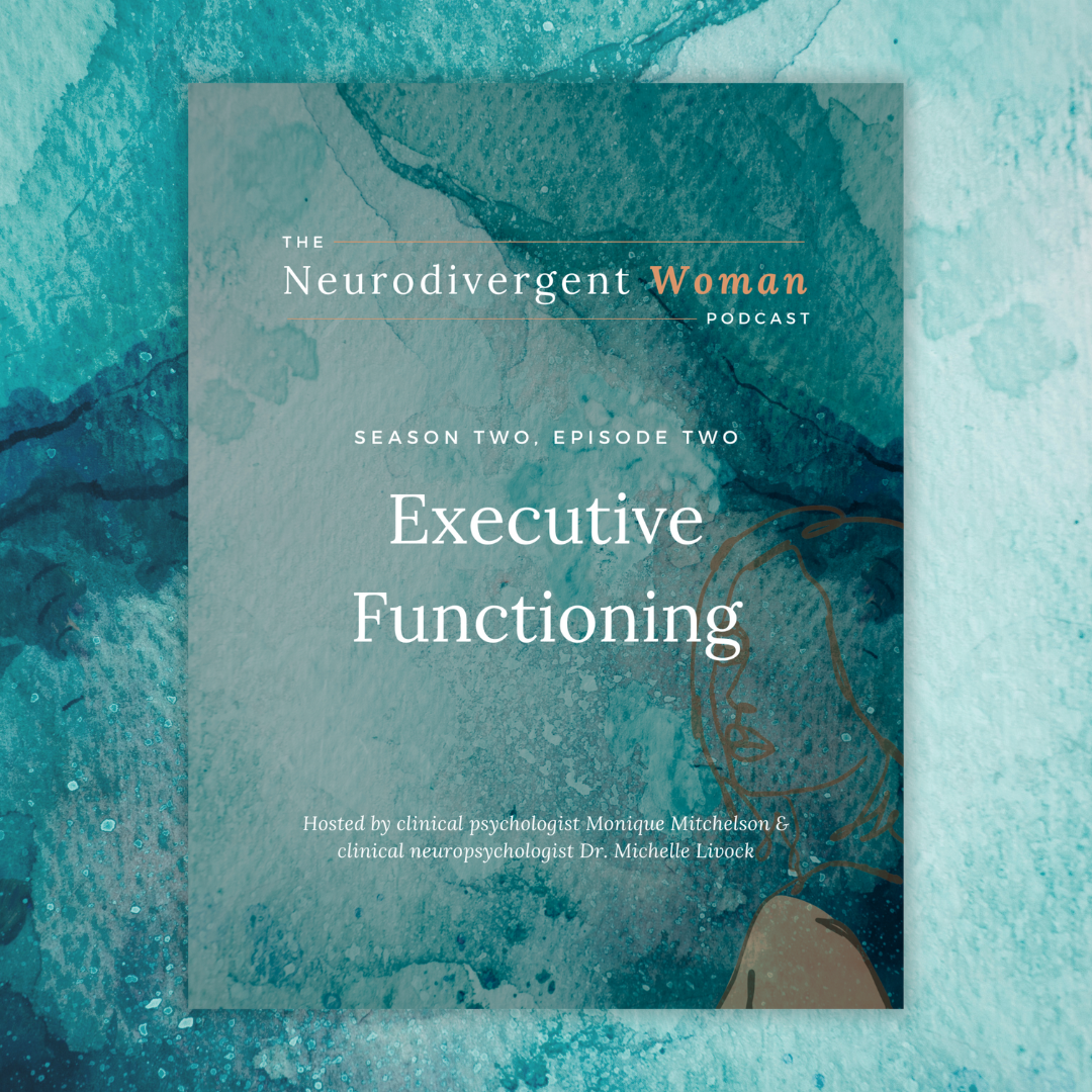 S2E2 Executive Functioning