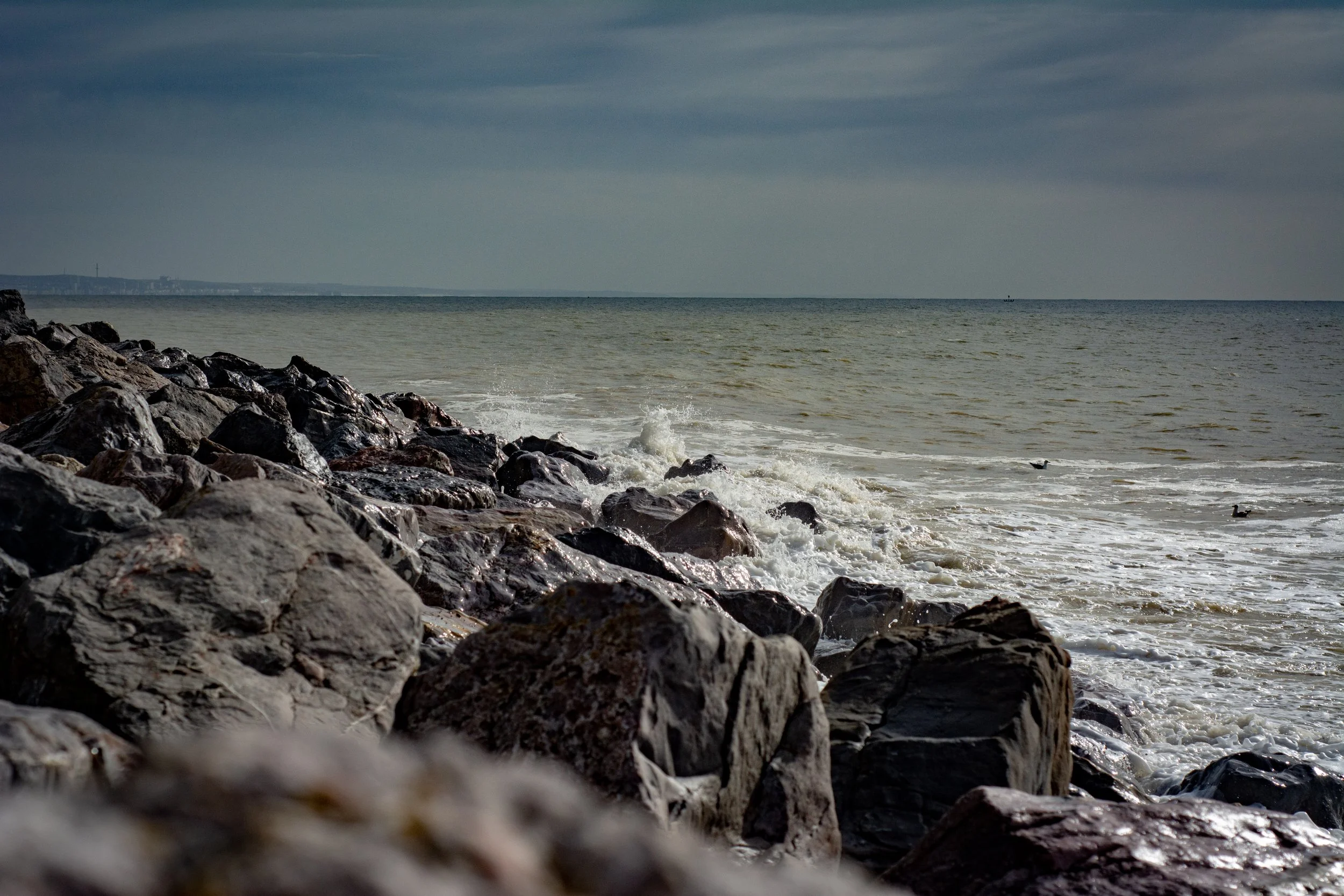 LRM_EXPORT_288207211514010_20190318_163444701 2.jpeg