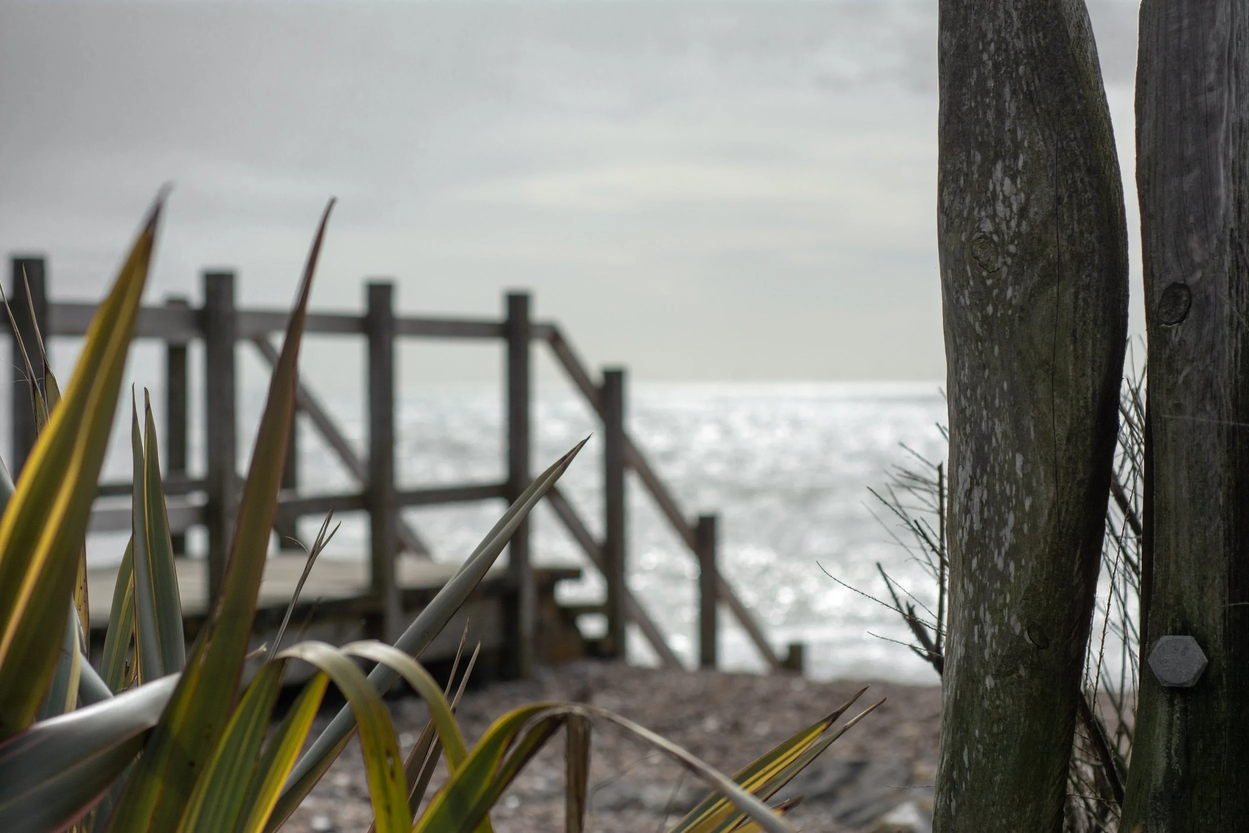 LRM_EXPORT_284558727409197_20190318_153356217 2.jpeg